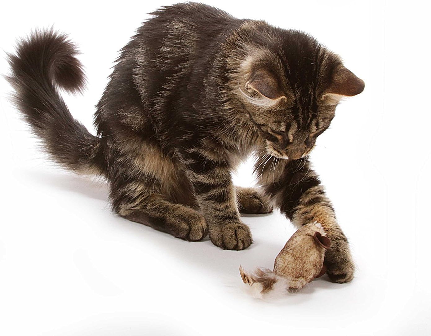 OurPets Play-N-Squeak Twice the Mice Cat Toy, 2 Piece Set, Catnip Filled | Real mouse sound effect, electronic squeaker inside, sparks hunting instinct, engaging design, for indoor felines every day