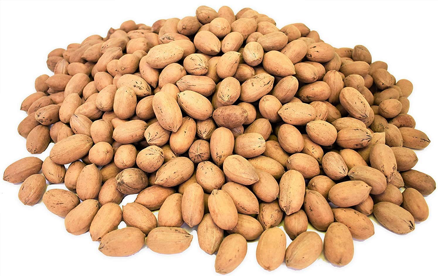Anna and Sarah Premium Georgian Raw Fresh Pecans in Shell (4.5 Lbs in Bag)