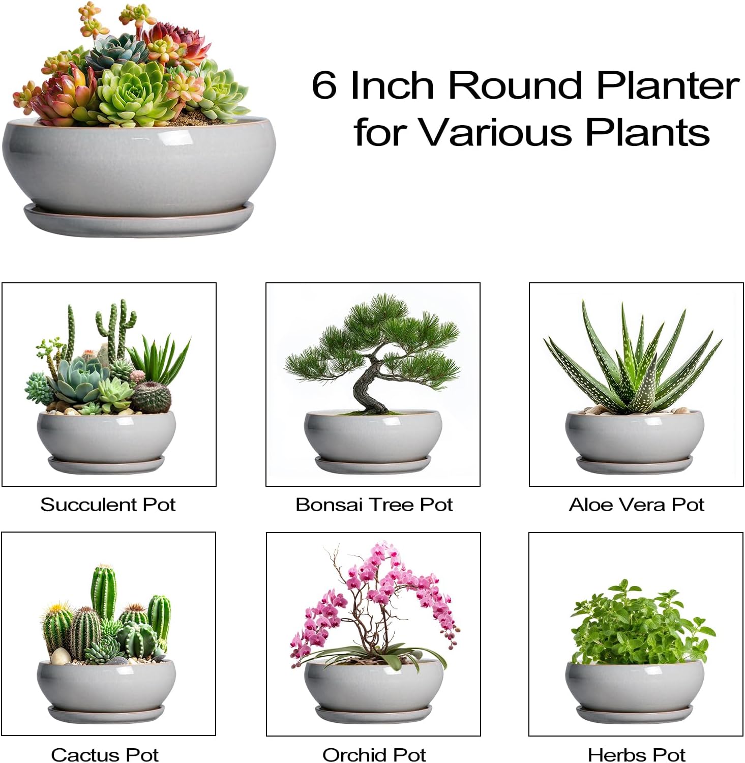 SQOWL 7 Inch Round Ceramic Succulent Planter Pot Drip Glazed Shallow Planter with Drainage Bamboo Tray for Indoor Plants