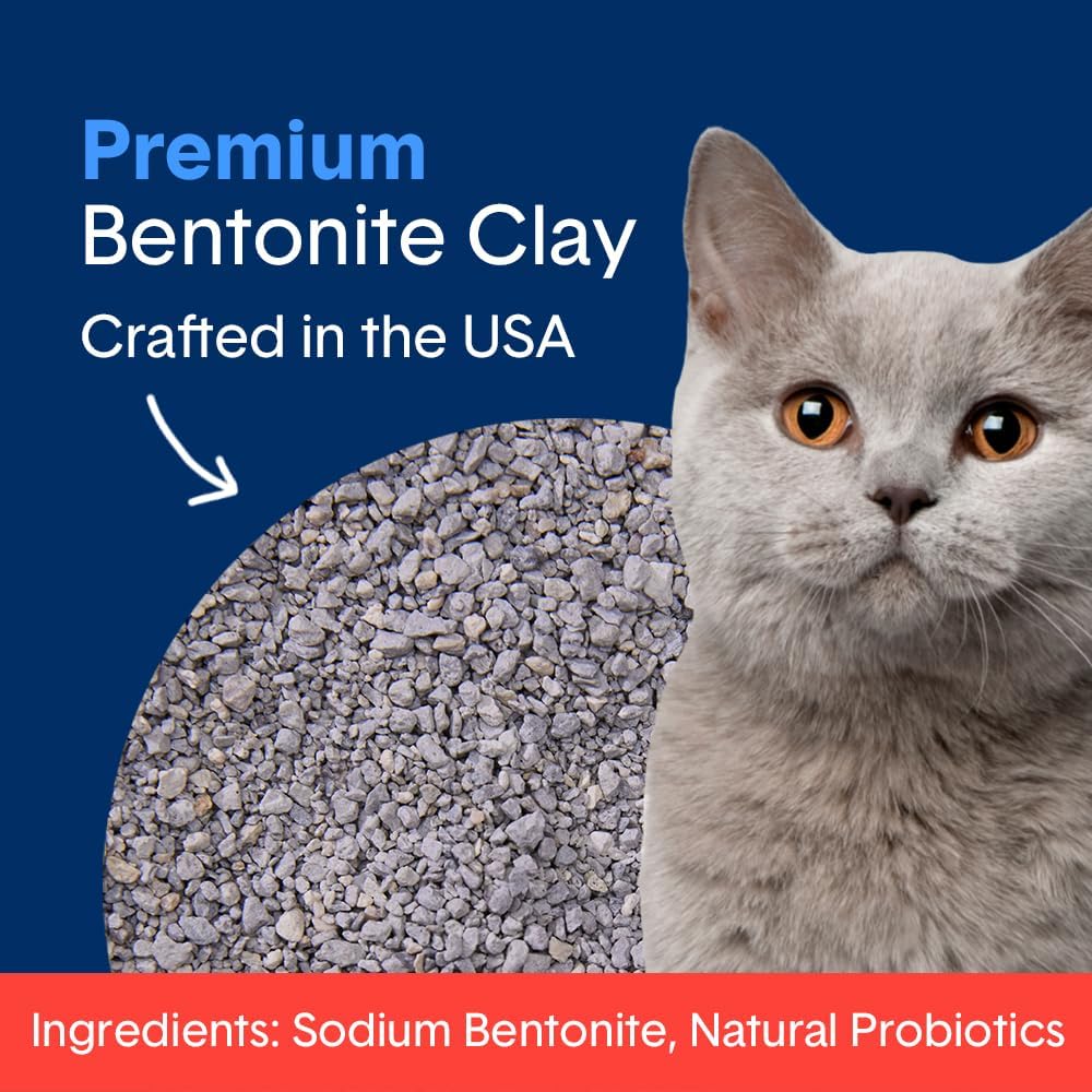 Boxie Premium Unscented Clumping Cat Litter 30+ Day Odor Control 16 lb