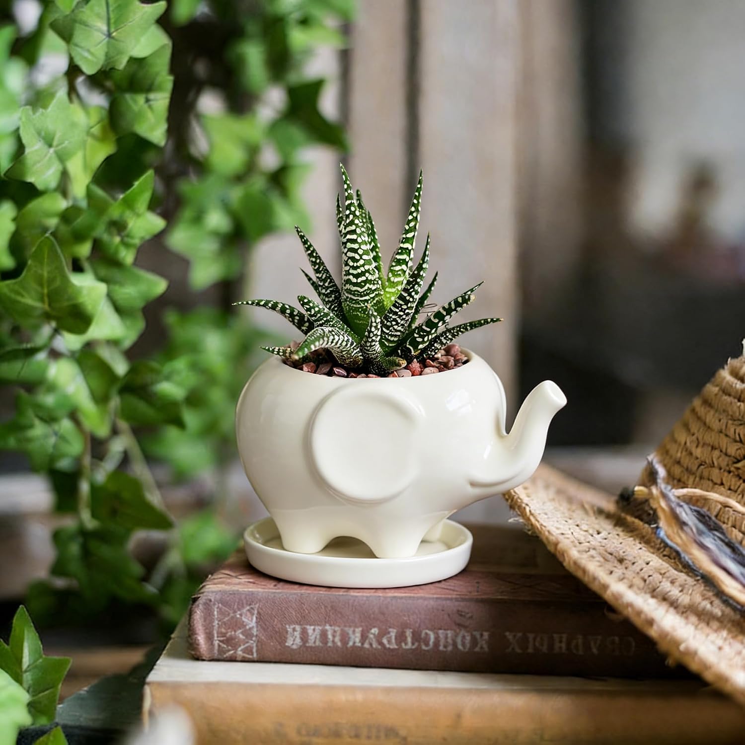 GeLive White Cow Succulent Pot, Small Ceramic Animal Planter with Drainage Hole & Saucer for Cactus, Mini Air Plants, Pencil Holder Brush Organizer, Indoor Home Office Desk Decor, Funny Gift
