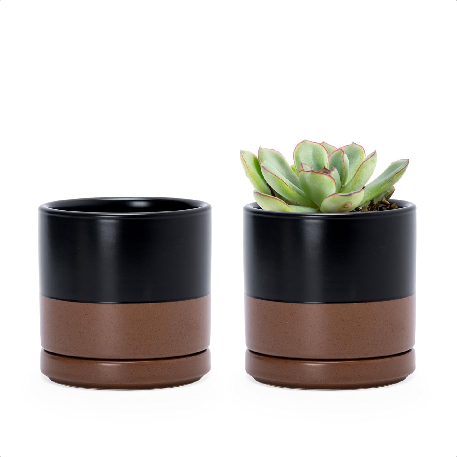 D'vine Dev 2-Pack Ceramic Pots with Saucers, White/Grey, 4.7 in, 94-V-B-6