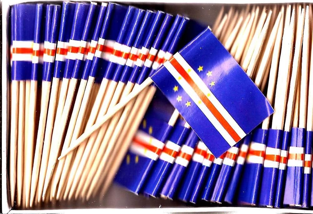 One Box of 100 Nicaragua Toothpick Flags, 100 Small Mini International Flag Cupcake Toothpicks or Cocktail Picks