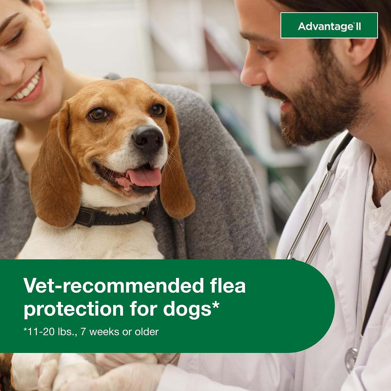 Advantage II Large Dog Vet-Recommended Flea Treatment & Prevention | Dogs 21-55 lbs. | 4-Month Supply