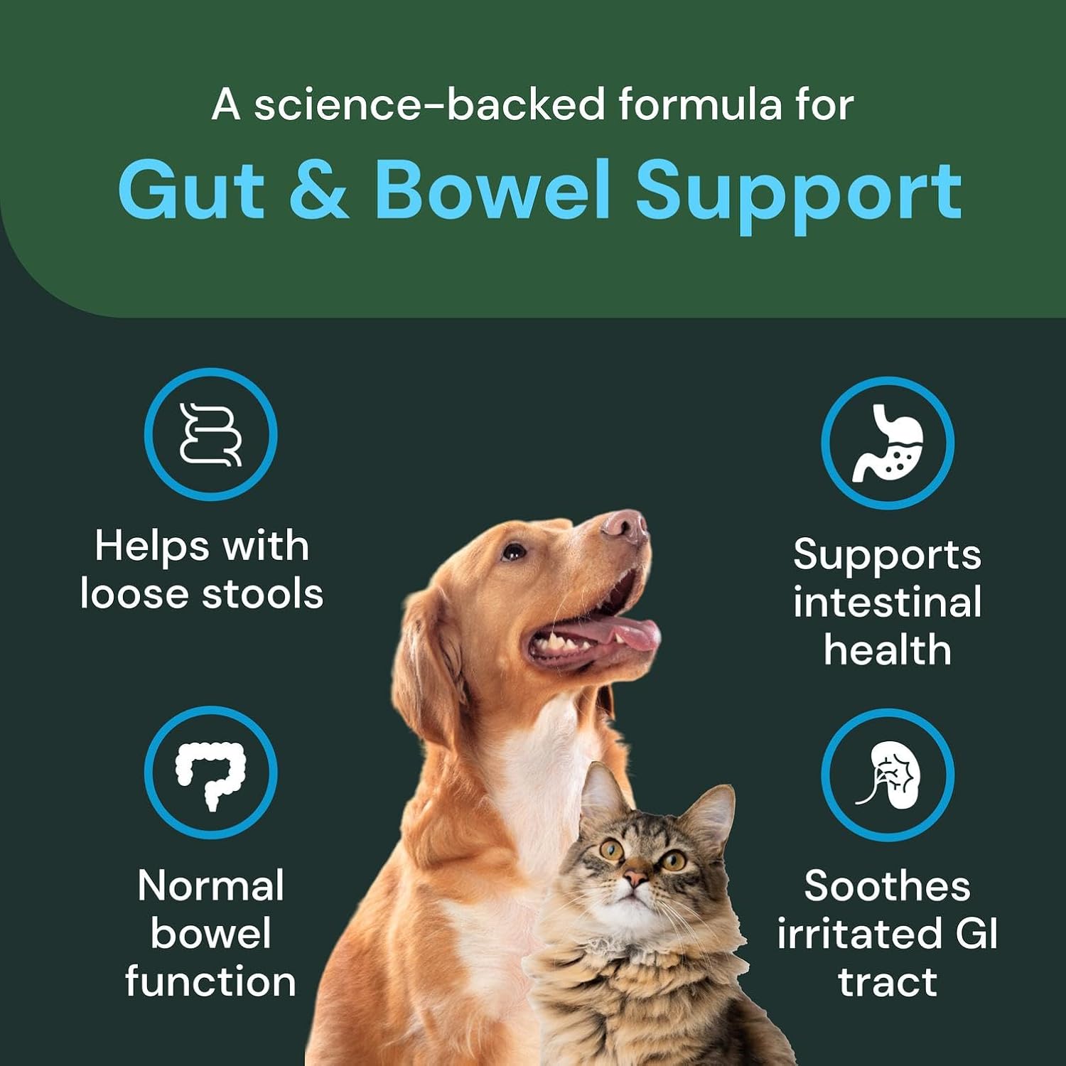 VETRISCIENCE Veterinary Strength Gut & Bowel Support for Dogs & Cats - Pet Digestive Health Supplement - Gut Health Formula - Intestinal Support