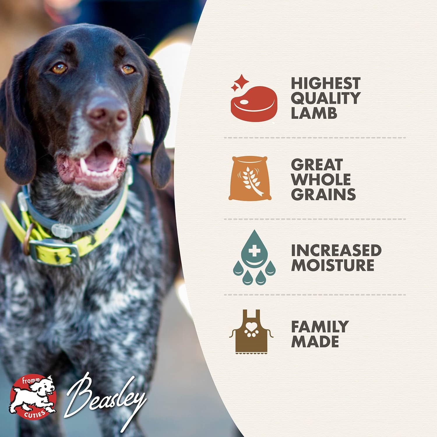 Fromm Venison & Lentil Pate Dog Food - Premium Wet Dog Food - Venison Recipe - Case of 12 Cans