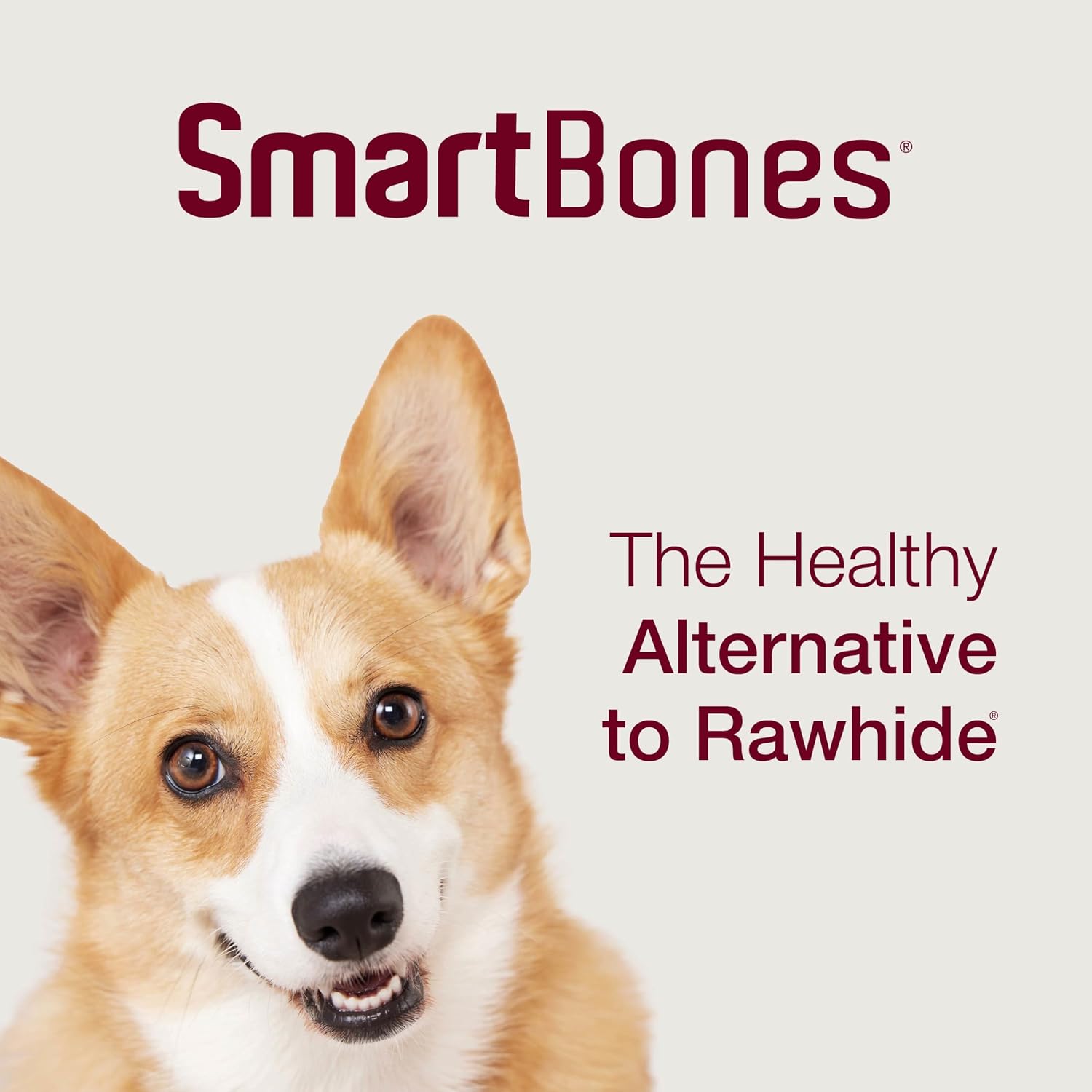 SmartBones Large Chews, Treat Your Dog to a Rawhide-Free Chew Made with Real Meat and Vegetables | With With Real Chicken, Easy To Digest Chew, Vitamin & Mineral Enriched, Helps Maintain Healthy Teeth, For Large Dogs