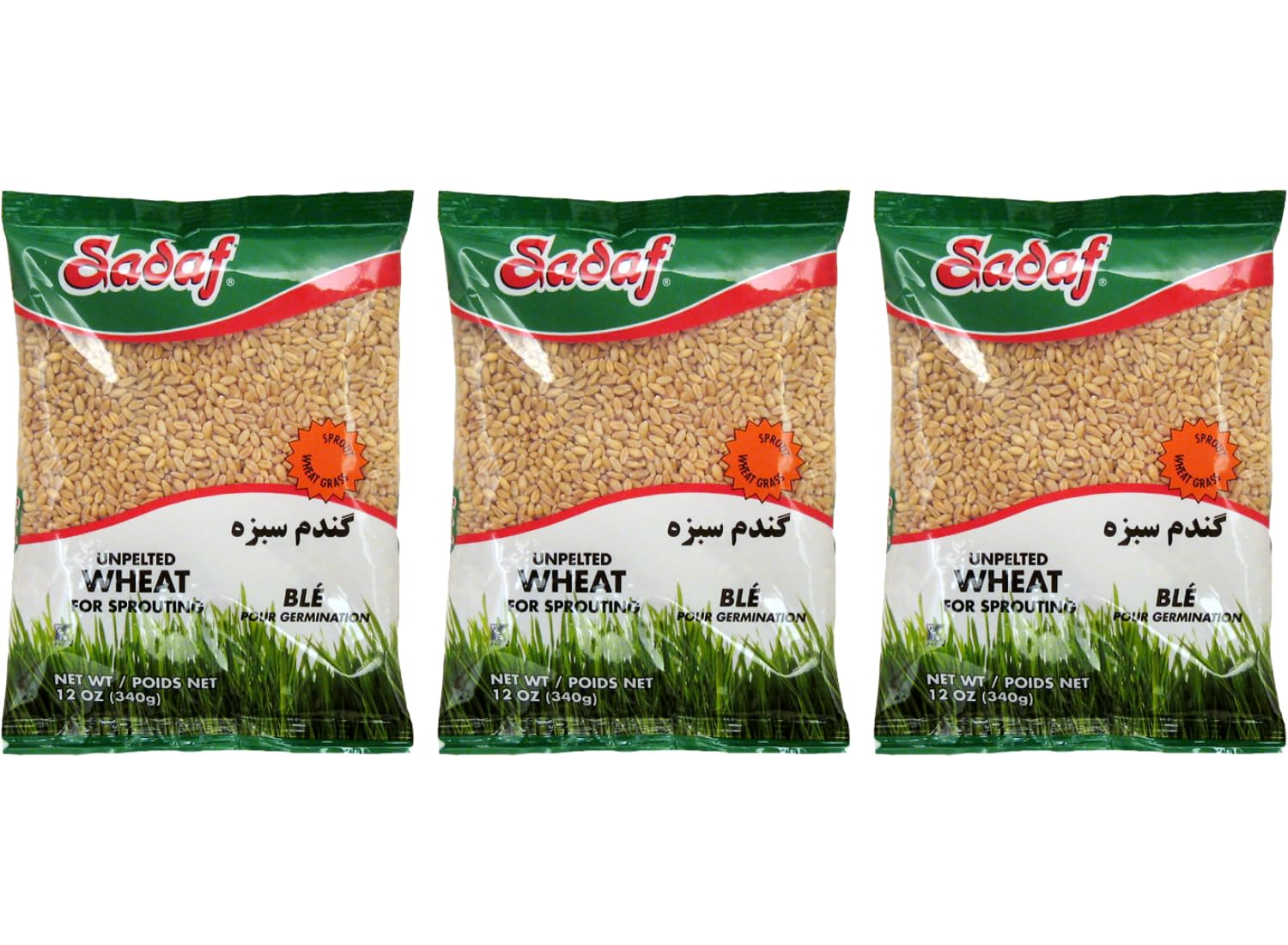 Sadaf Unpelted Wheat - Sabzeh Sprouting Wheat - Germinado de Trigo - Kosher- 12 oz Bags