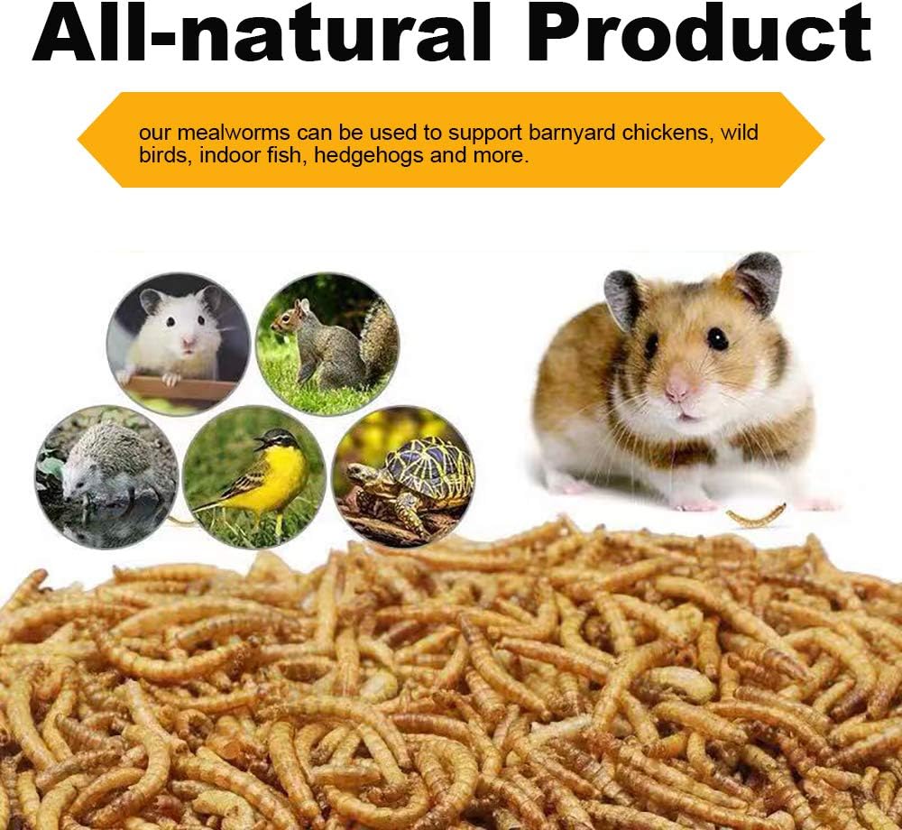20lb Dried Mealworms for Chickens Duck High Protein Birds Treat
