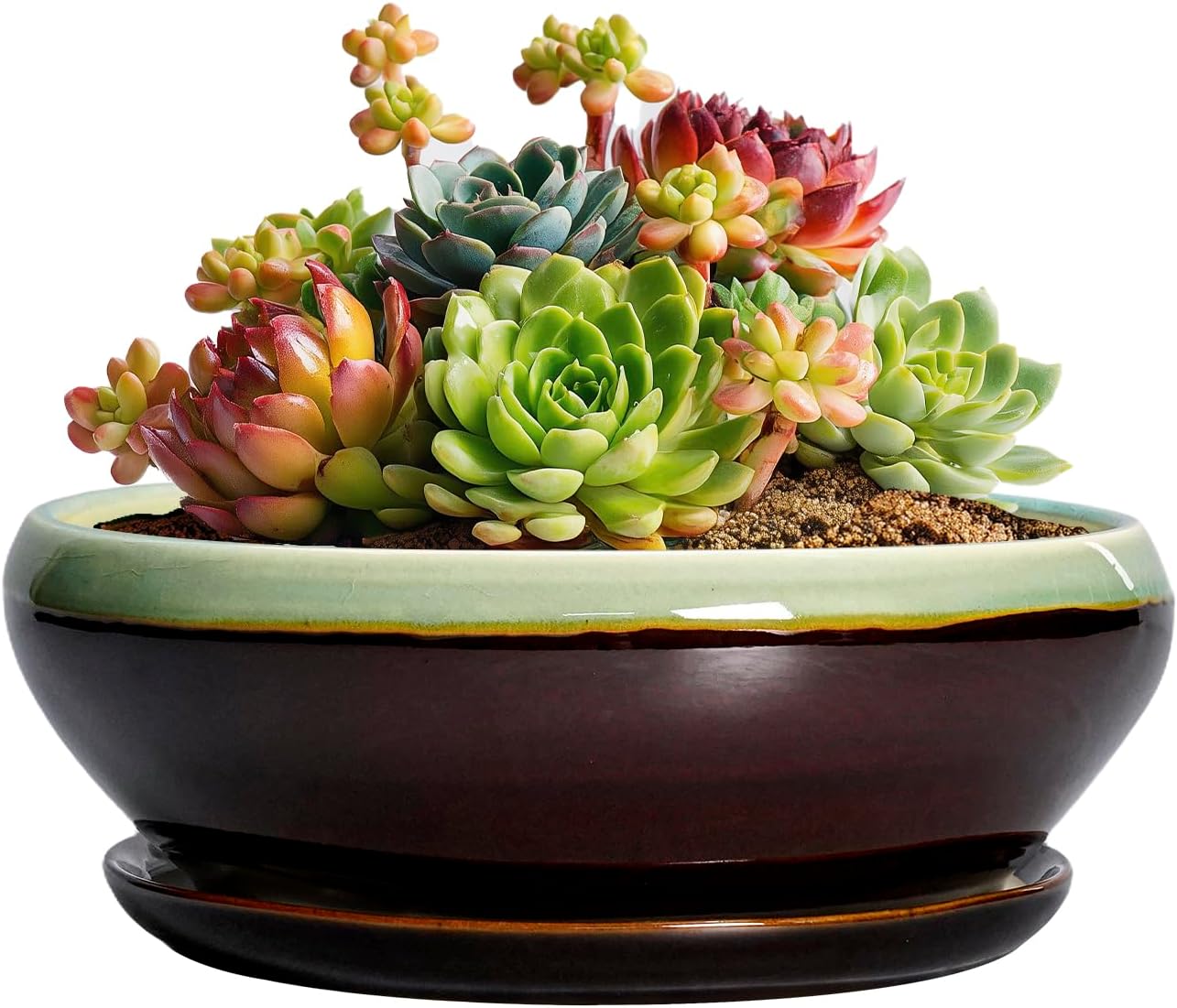 SQOWL 7 Inch Round Ceramic Succulent Planter Pot Drip Glazed Shallow Planter with Drainage Bamboo Tray for Indoor Plants