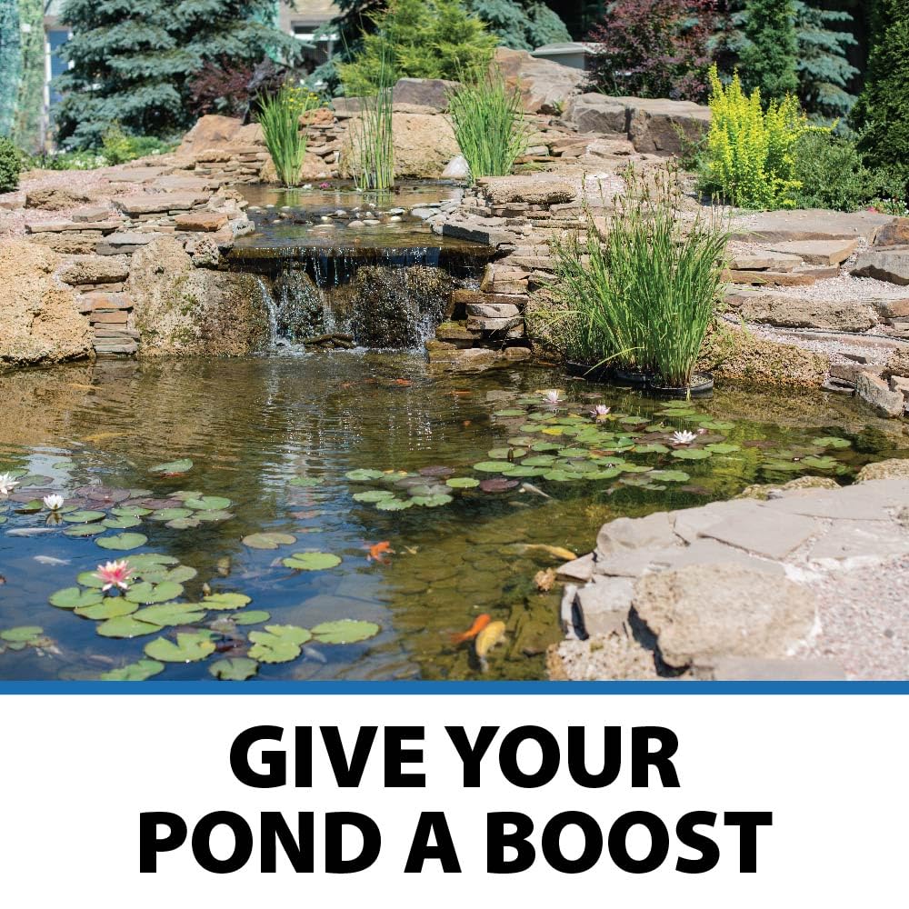 CrystalClear PondShock Ball Freshwater Clarifier