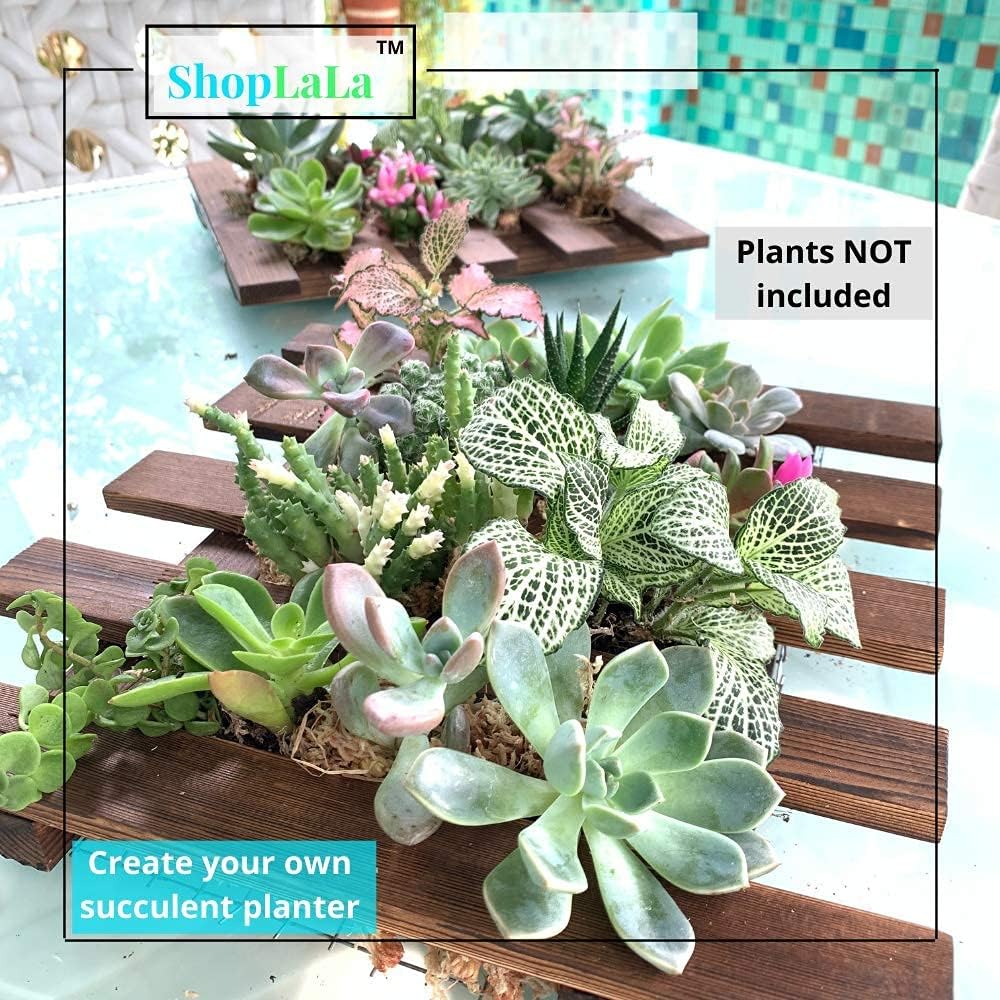 ShopLaLa Wall Planter (60cm, 2 Pack) Hanging Planters for Indoor Plants