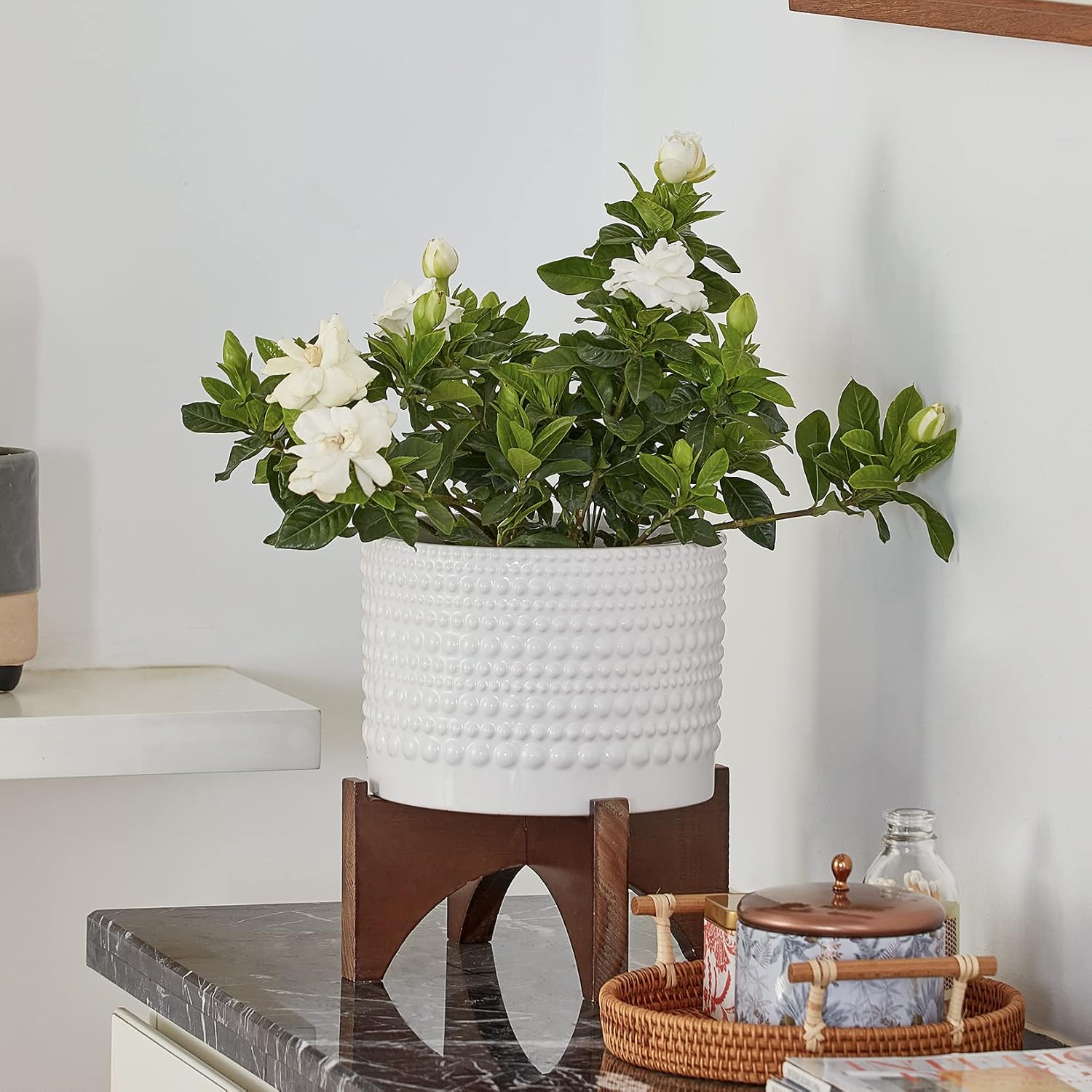 LA Jolie Muse Ceramic Pot for Plants, 8 Inch Indoor Planter with Stand