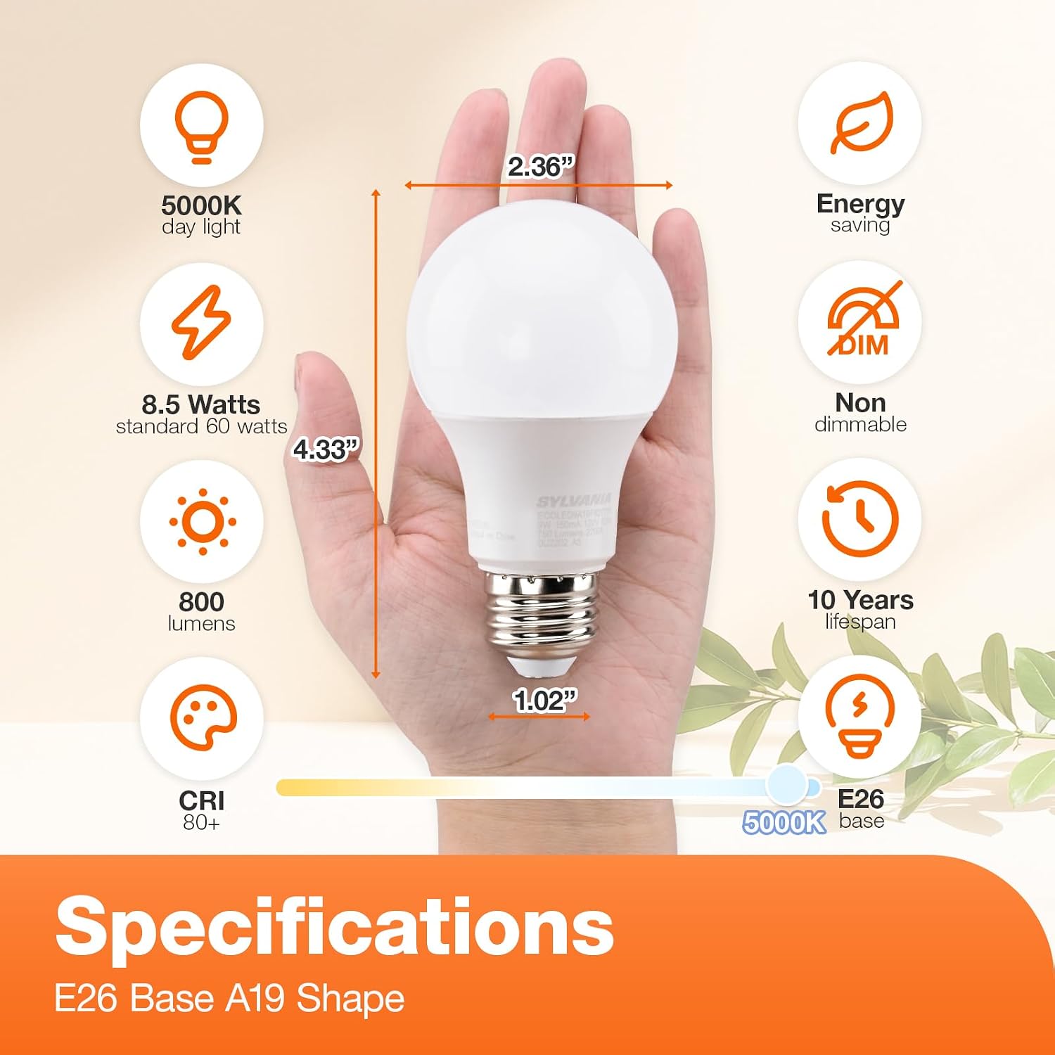Sylvania LED A19 Light Bulb, 100W = 14W, Non-Dimmable, Frosted Finish, 1500 Lumens, 2700K, Soft White - 4 Pack (78101)