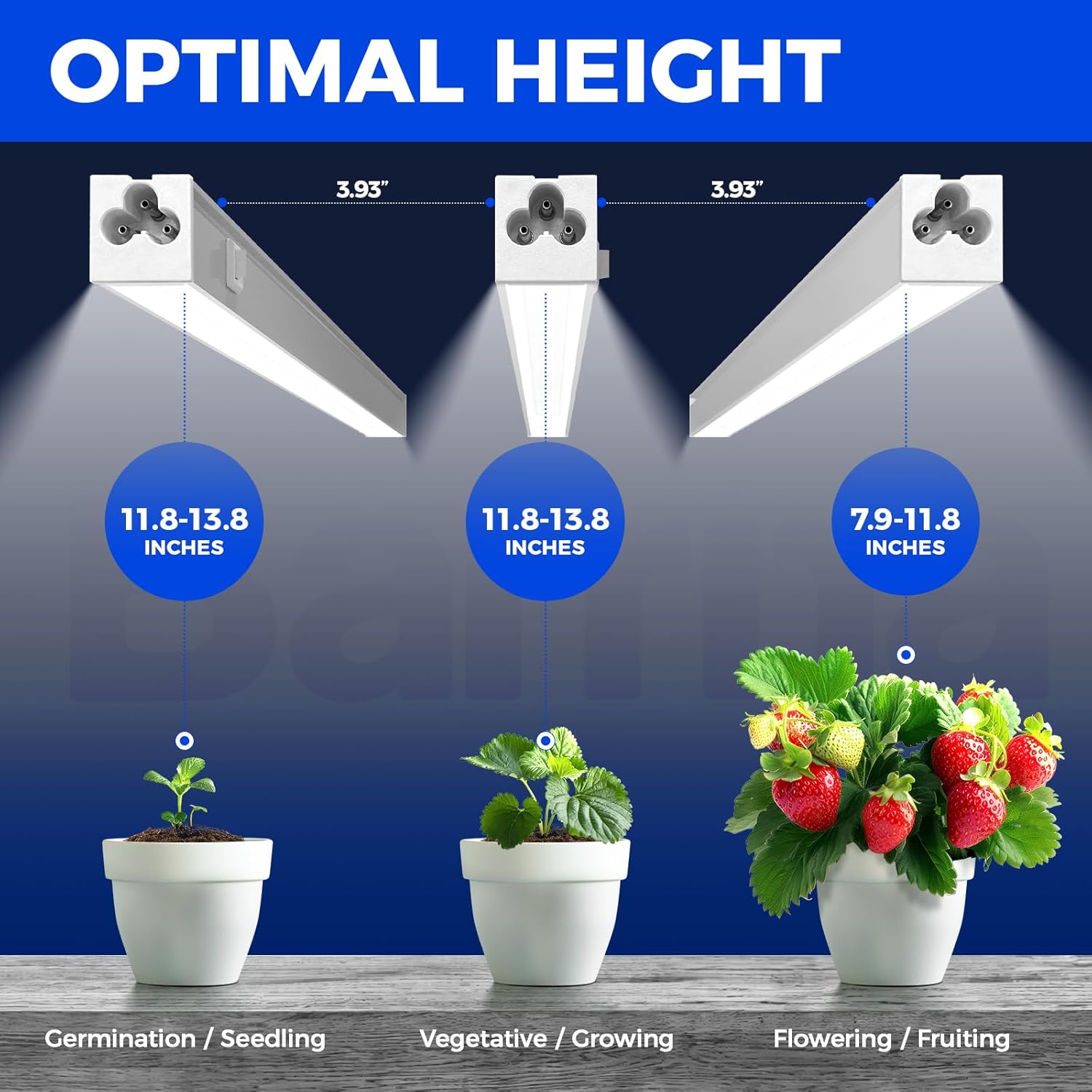 Barrina T5 Grow Lights for Indoor Plants, Full Spectrum, 2FT, 8 Packs