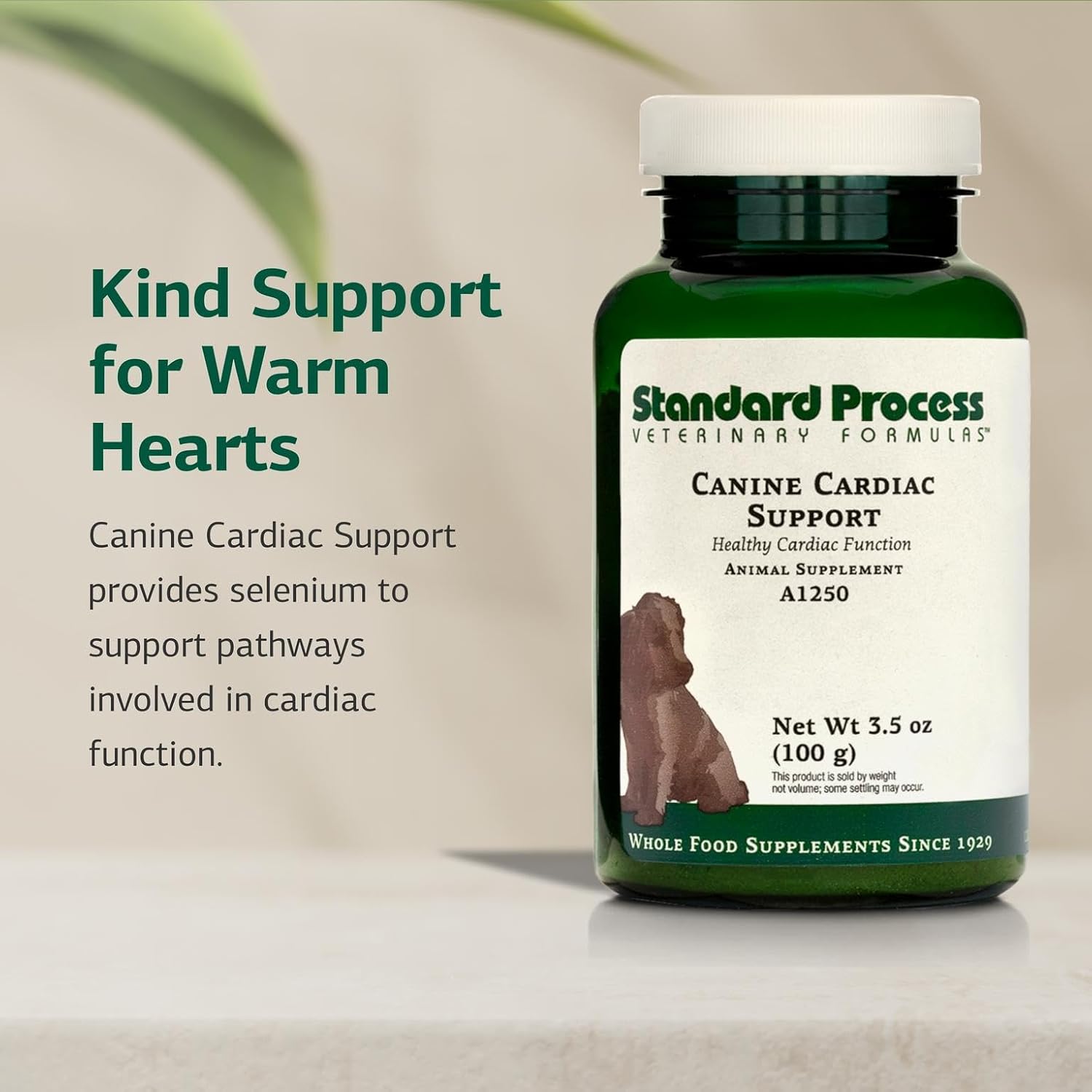 Standard Process Inc. Canine Cardiac Support - Dog Heart Health Supplement - Nutritional Formula to Support Cardiac Function - Pet Health Supplement with Selenium - 25 g