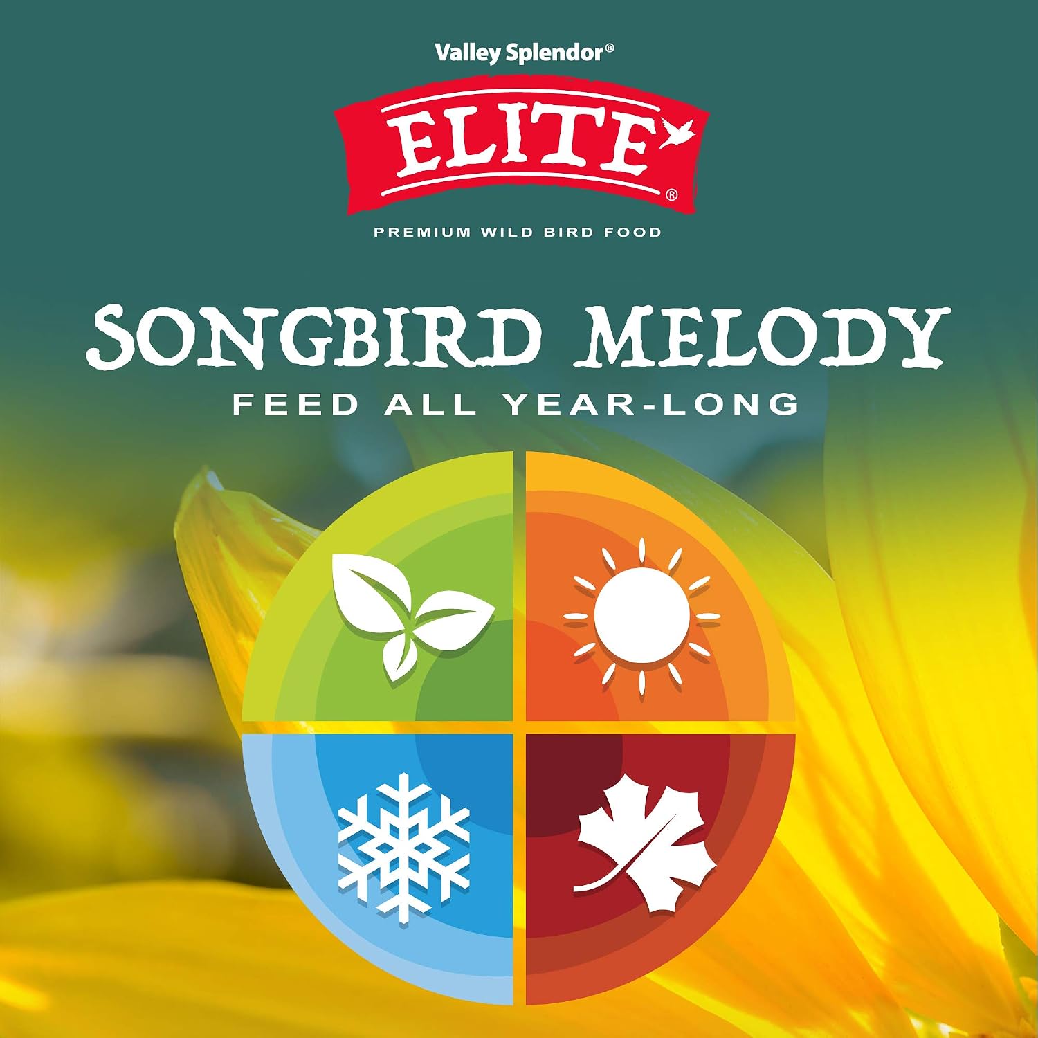 Songbird Melody