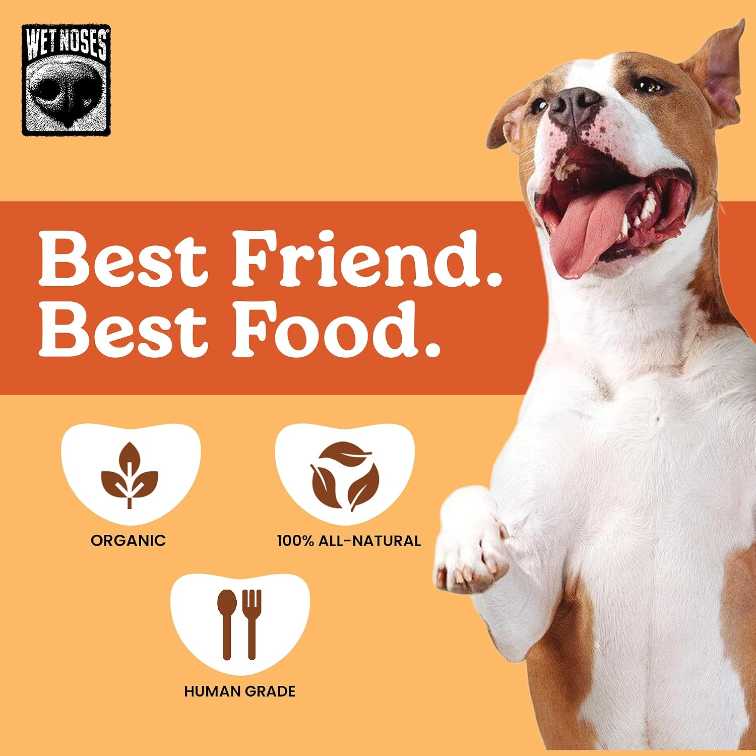 Wet Noses Organic Crunchy Dog Treats – All-Natural, Human-Grade, Non-GMO, Healthy Training & Delicious Snacks for Dogs