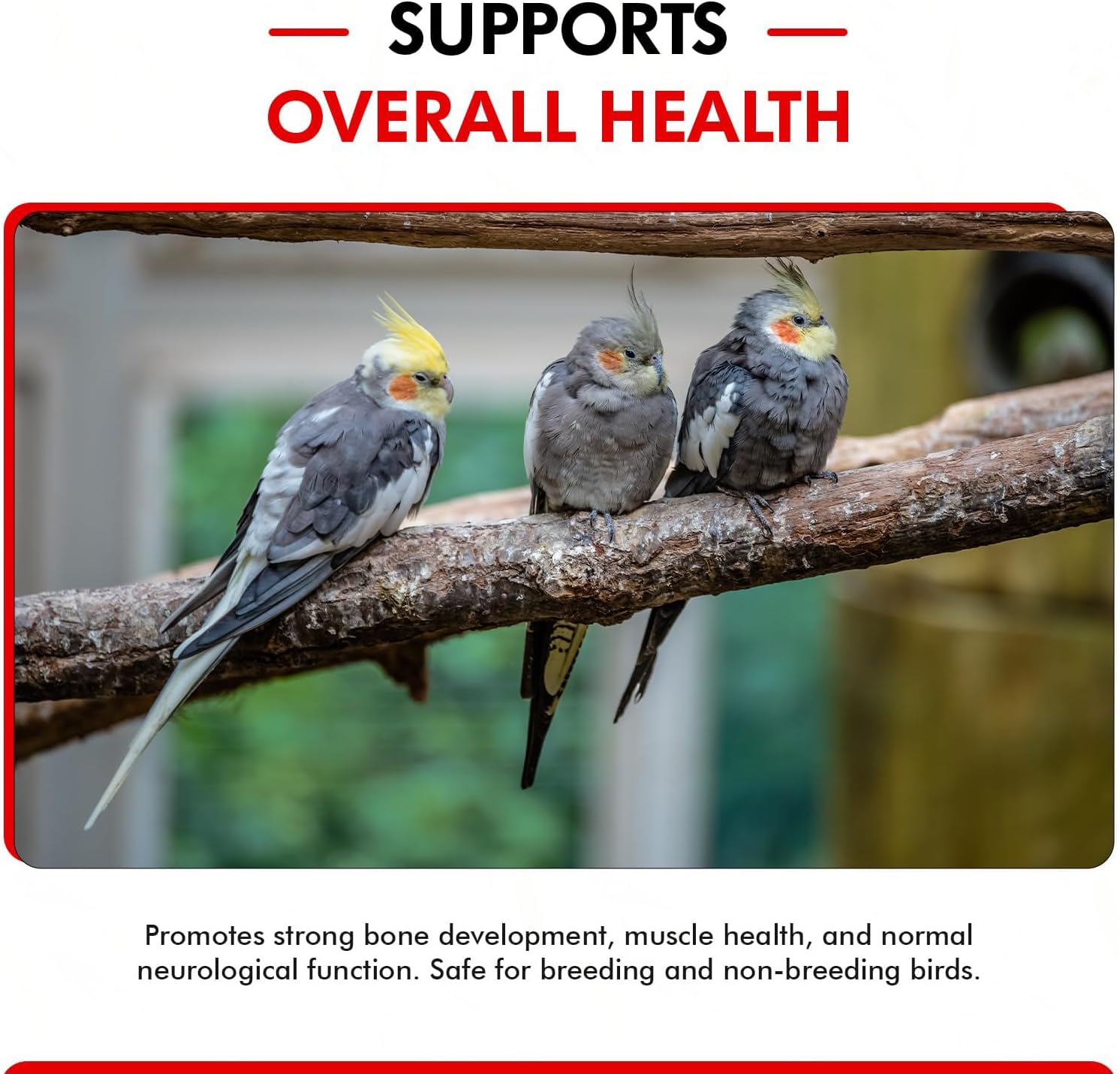 Calcium Plus Liquid for Birds – Calcium Supplement with Vitamins and Minerals for Strong Eggshells, Healthy Bones - Support Growth, Breeding, and Wellness for All Birds 4 Fl Oz | Calcium Supplement - Supports Healthy Growth, Bone Strength, Breeding, Brai…