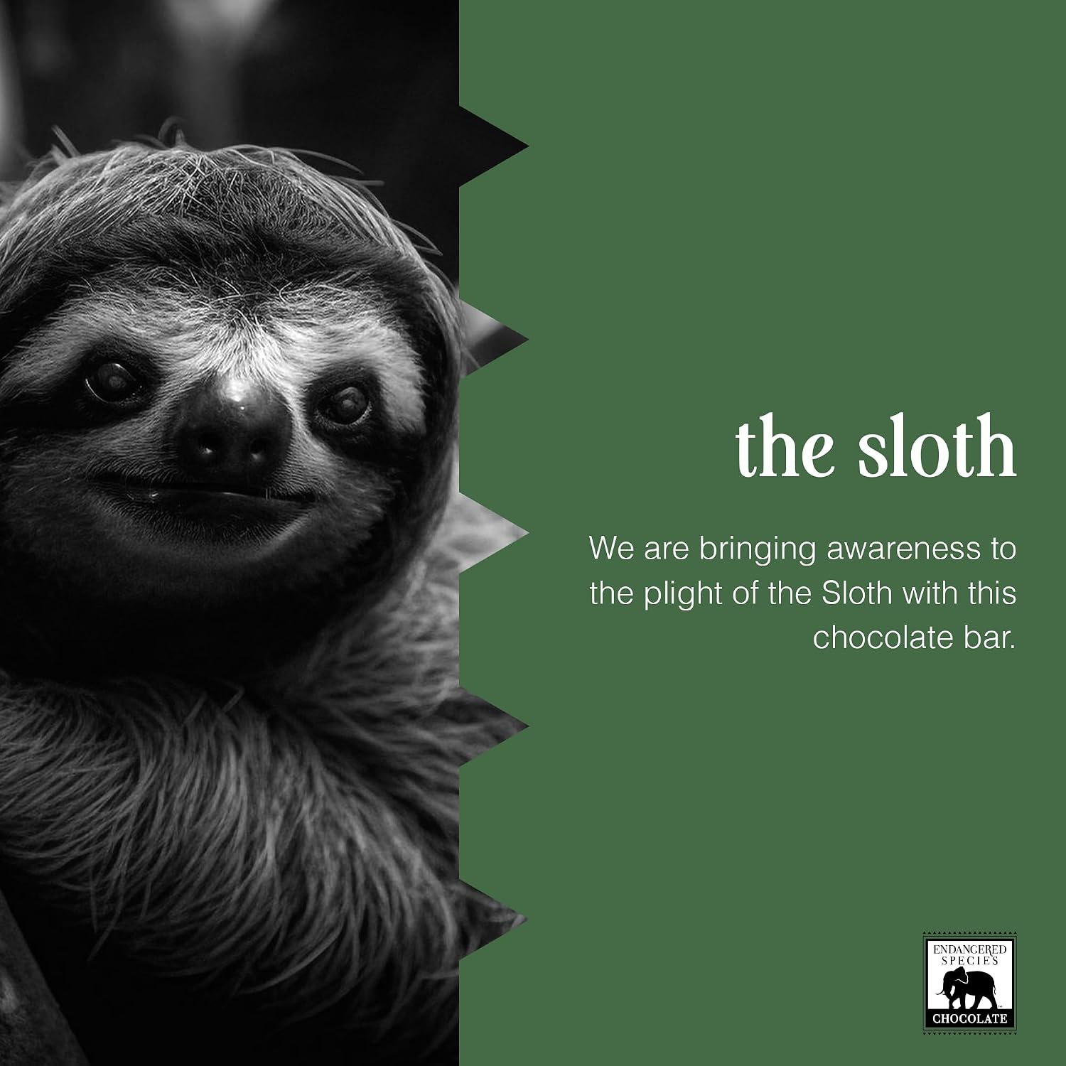 Dark Chocolate with Caramel & Sea Salt (60% cocoa) | Rich 60% dark chocolate with caramel and sea salt for a perfect balance of sweet, salty, and bold cocoa.