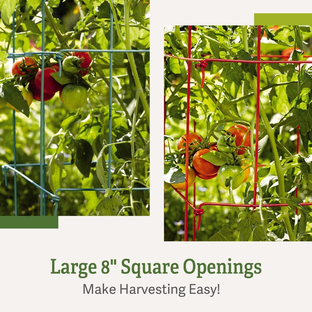 Gardener’s Supply Company Extra Tall Heavy-Guage Square Tomato Cages | Easy Fold Plant Supports & Vegetable Garden Stakes | 14.25" x 14.25" x 65"