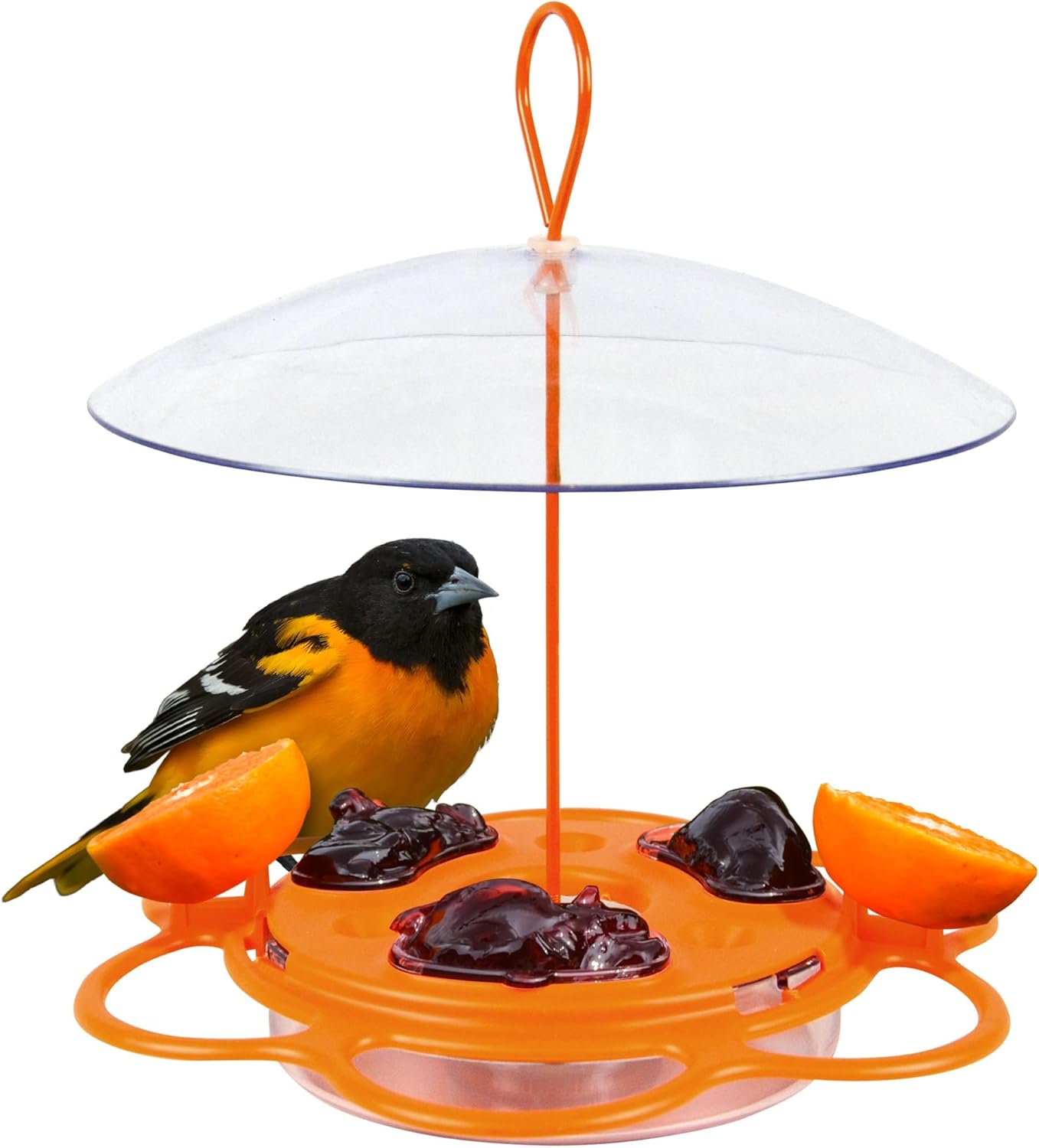 Nature's Way OFM1 Wire Oriole Feeder