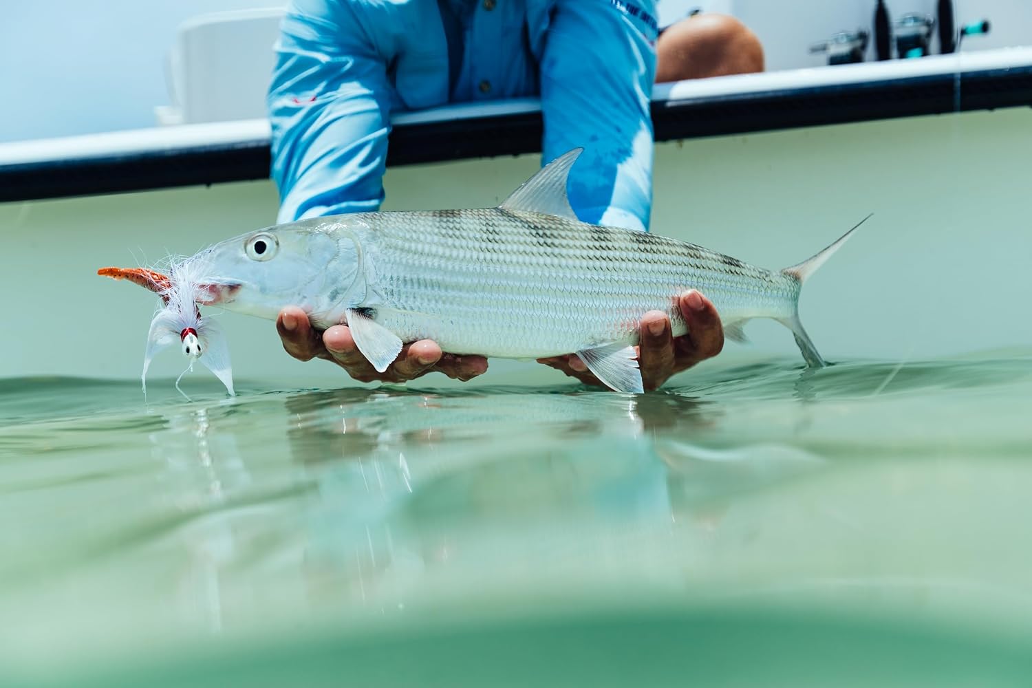 Berkley Gulp! Shrimp Saltwater Fishing Soft Bait