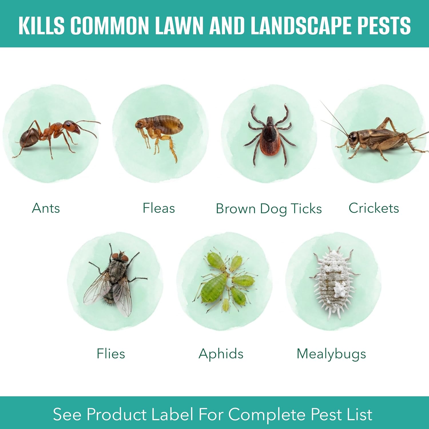 EcoSMART Insect Killer Granules for Lawns & Landscapes, 10 lb Bag, Plant-Based Pest Control with Clove & Thyme Oil