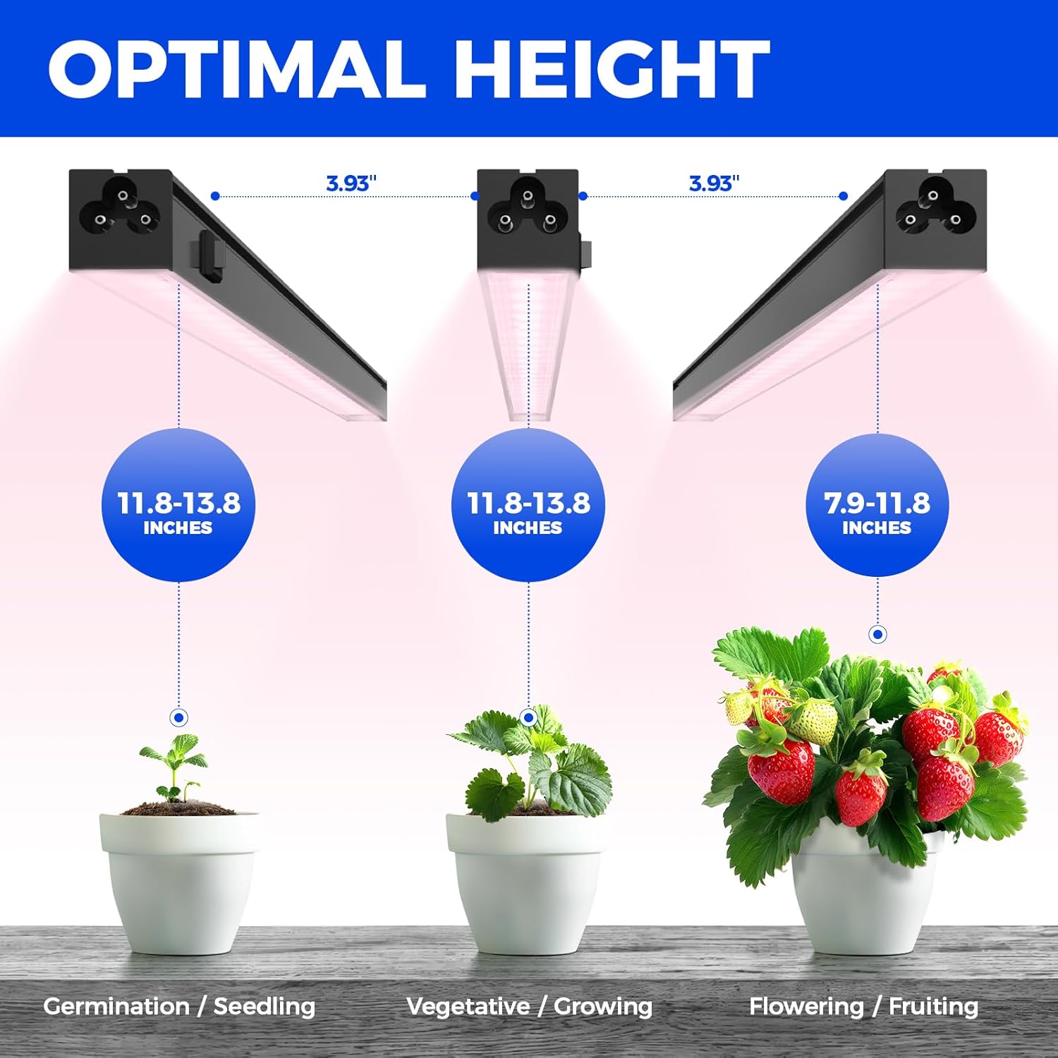 Barrina T5 Grow Lights for Indoor Plants, Full Spectrum, 2FT, 8 Packs