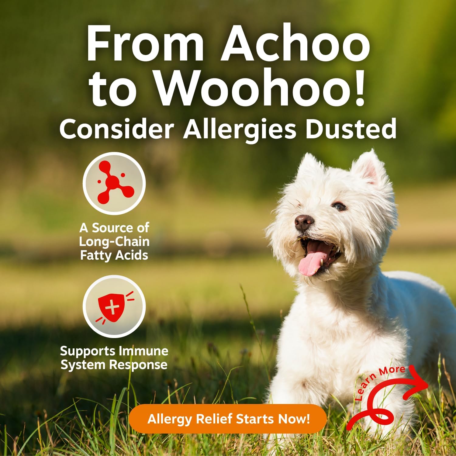 Zesty Paws Allergy Immune Bites - Dog Allergy Chews, Dog Probiotics for Itchy Skin and Ears, Lamb, 90ct