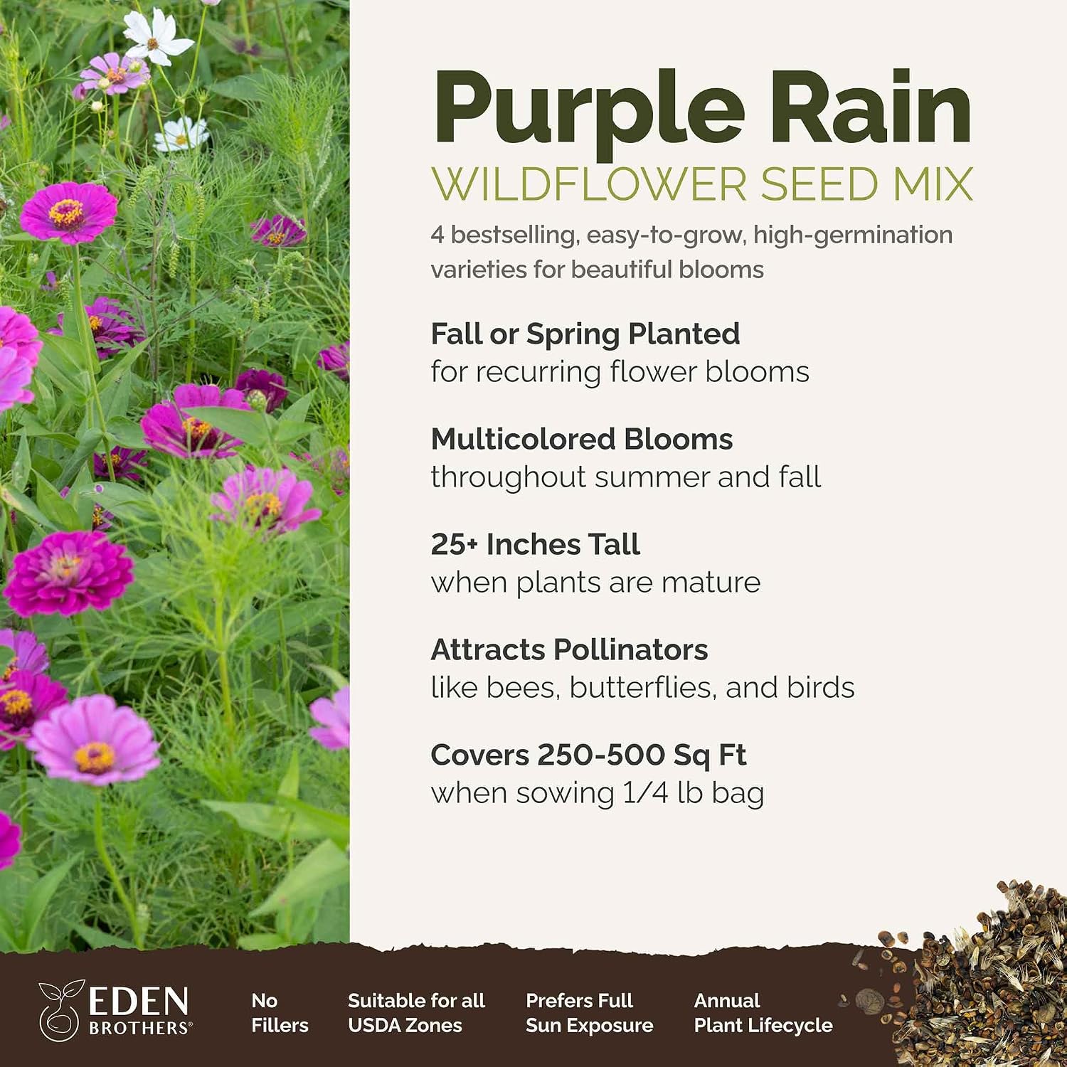 Eden Brothers All Perennial Wildflower Mixed Seeds for Planting, 1 lb, 480,000+ Seeds with Lupine, Shasta Daisy | Attracts Pollinators, Plant in Spring or Fall, Zones 3, 4, 5, 6, 7, 8, 9, 10