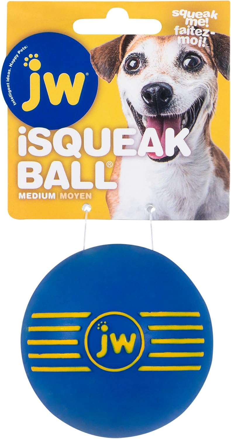 JW Squeak-ee Ball Puppy Toy | Water Resistant Design.