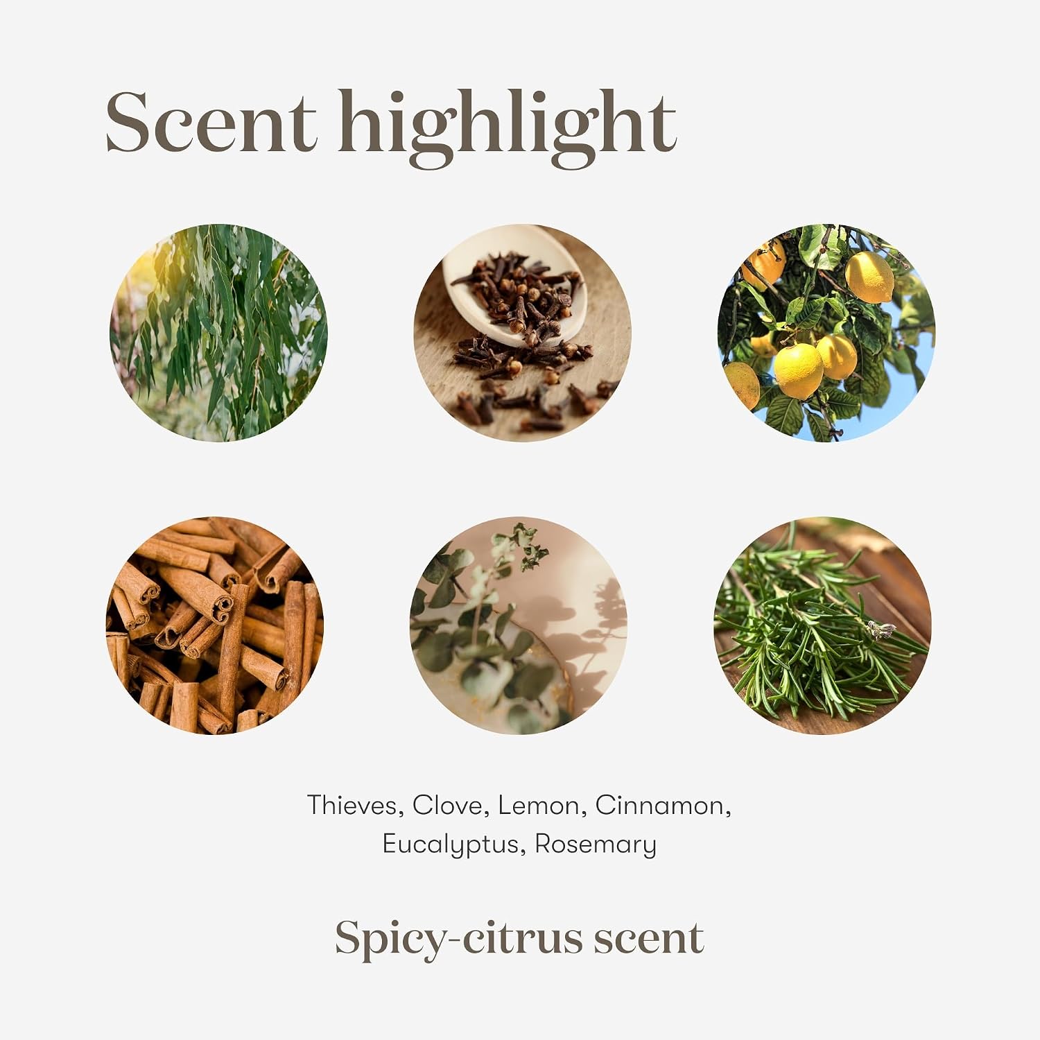 Young Living Thieves Vitality Essential Oil Blend | 5 ml | Warm Spicy Herbal Aroma for Diffusers, Massage & Aromatherapy | Clove, Lemon, Cinnamon, Eucalyptus & Rosemary Blend | Seed to Seal Quality