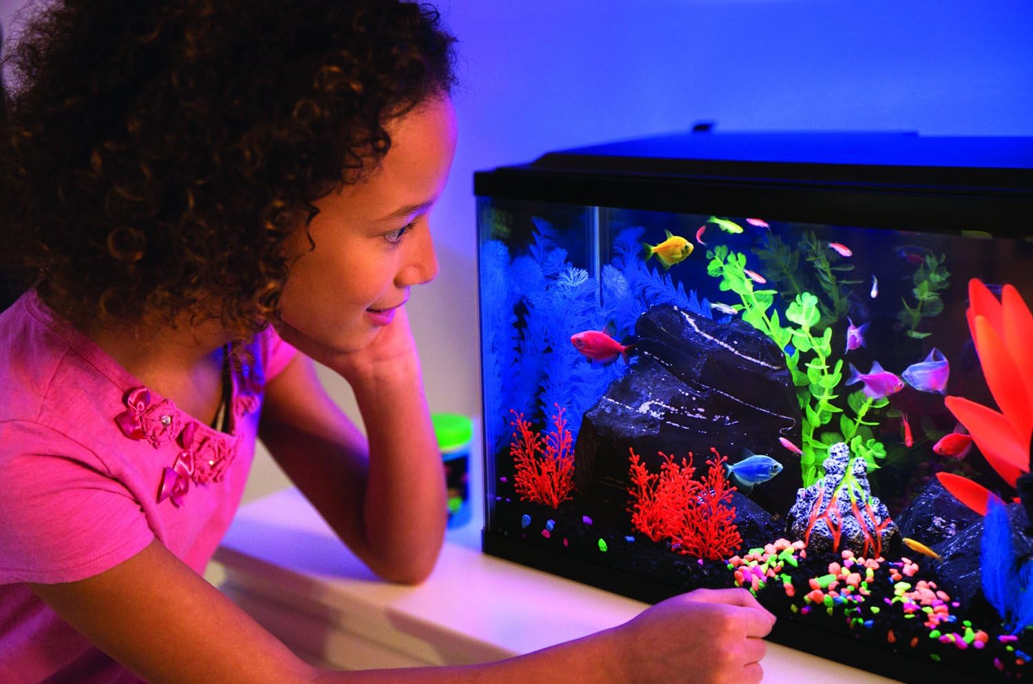 GloFish Crescent aquarium Kit 3 Gallons, Includes Hidden Blue LED Light And Internal Filter