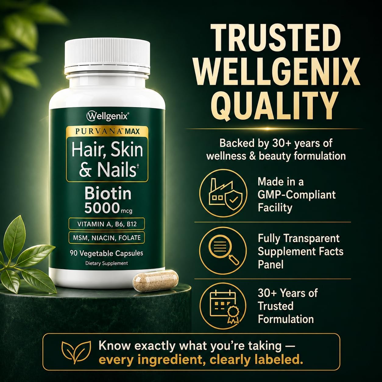 Wellgenix Purvana MAX Hair Skin & Nails Vitamins, Biotin 5000mcg, 90 Count | Biotin, MSM & hyaluronic acid in vegetable capsules for thicker