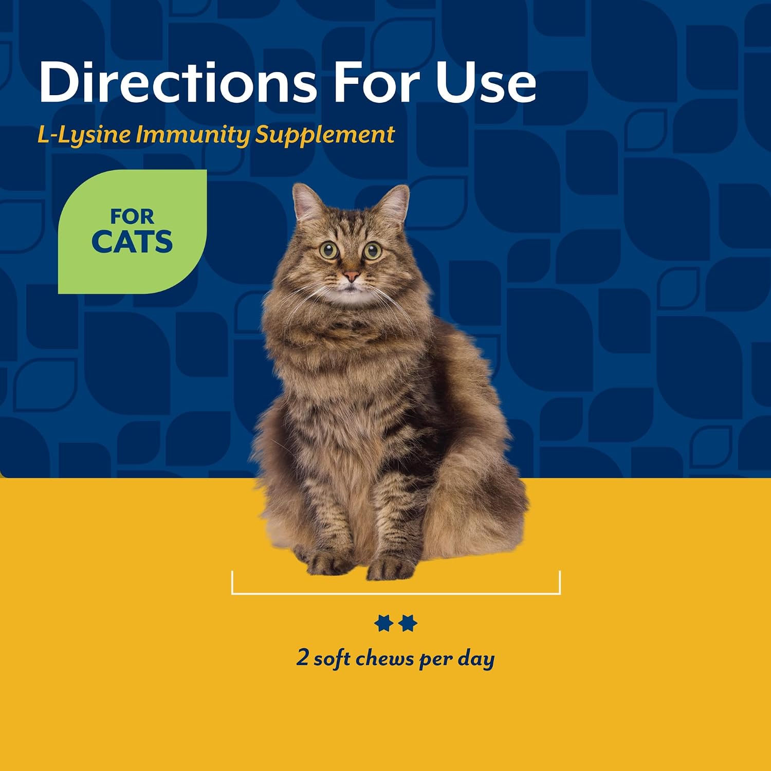 NaturVet L-Lysine Immune Support Plus Antioxidants Cat Supplement - 60 Ct | Support Eye Health, Immune System for Cats, Includes Amino Acids