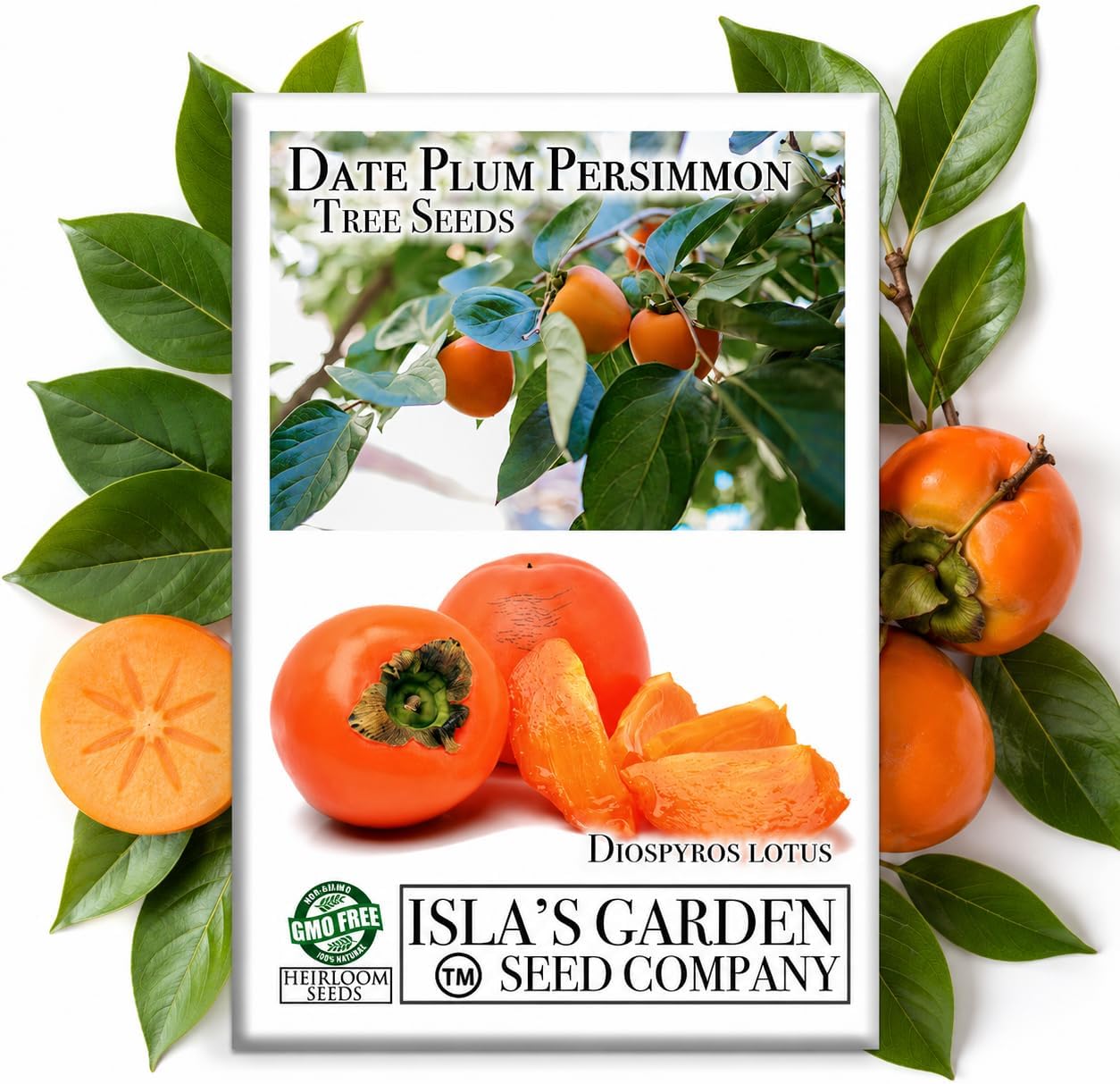 Date Plum Persimmon Tree Seeds (Diospyros Lotus) – 30+ Non-GMO & Heirloom Seeds, Exotic & Rare Fruit Tree, 80% Germination Rate