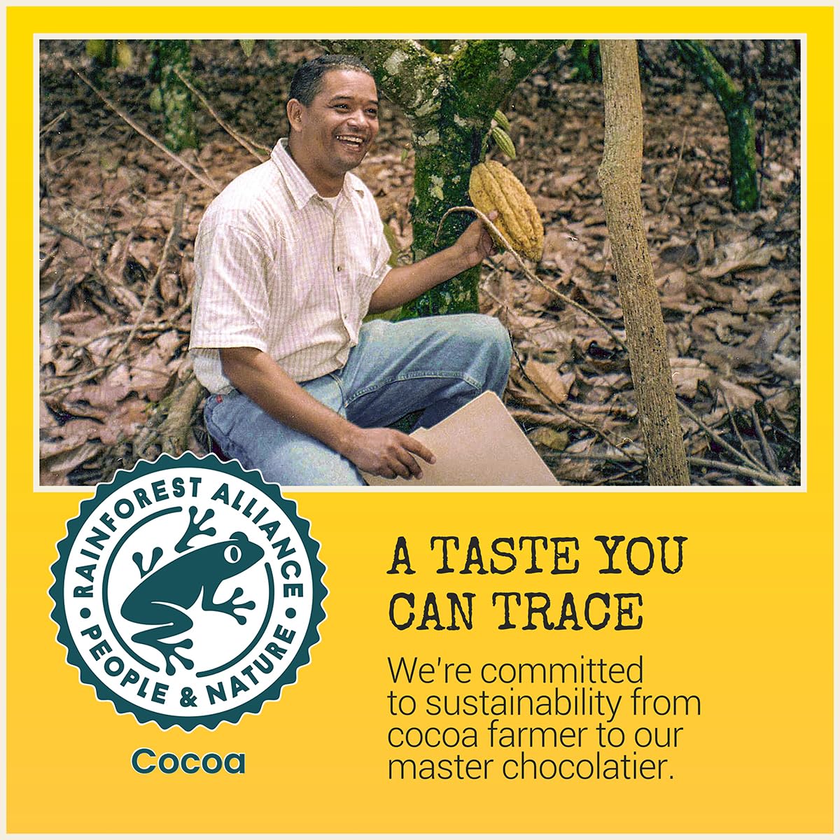 Chocolove Creamy Milk Chocolate Bars | 33% Cocoa | Crafted with Silky Premium Chocolate | Non-GMO, & Gluten-Free, 3.2 oz Bar (12 Pack)