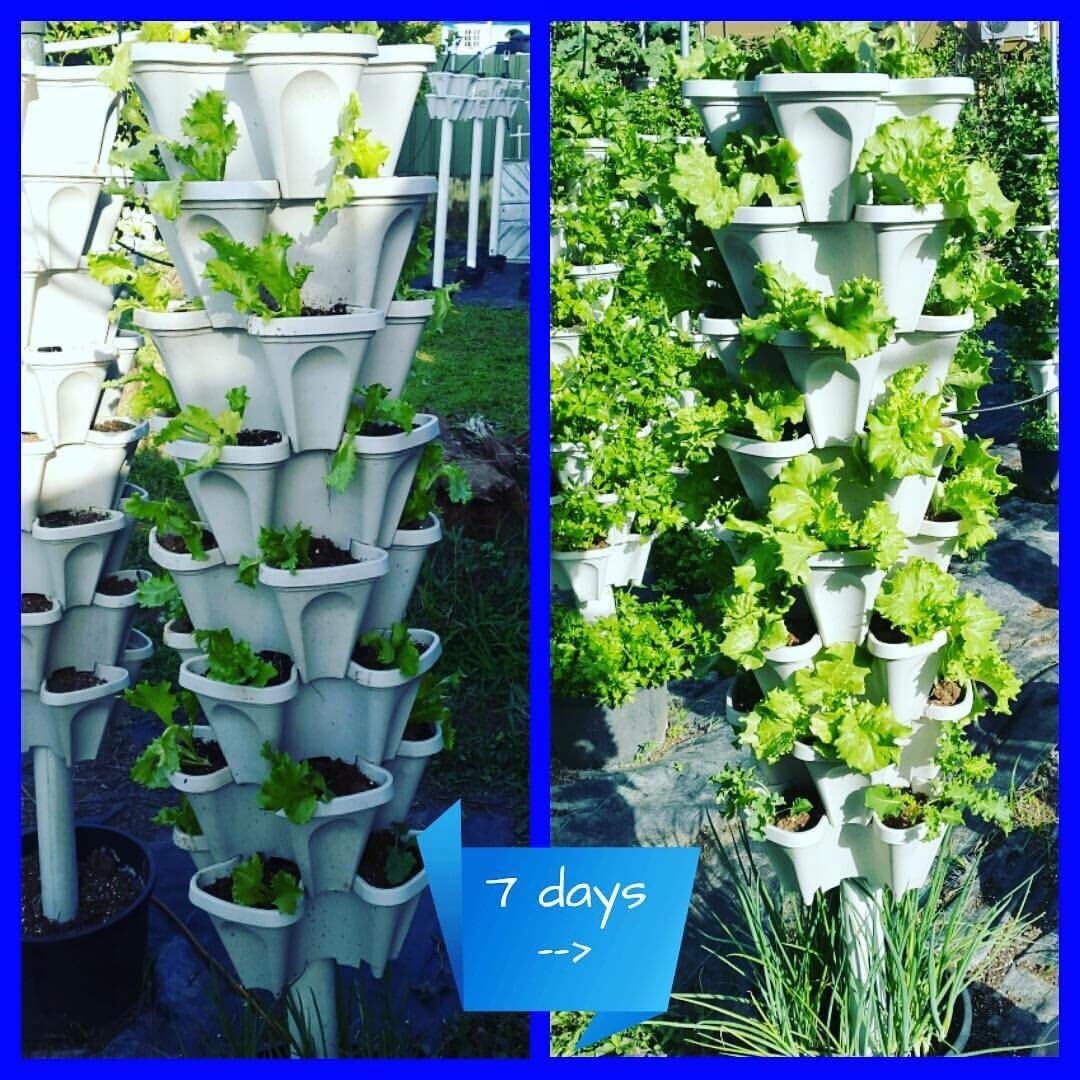 Mr. Stacky Vertical Gardening Planters (Tiffany Blue)