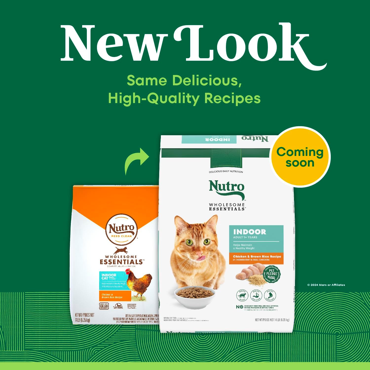 Nutro Wholesome Essentials Indoor Adult Dry Cat Food, Chicken & Rice, 14 lb | Real chicken #1 ingredient, natural prebiotic fiber for digestion, Vitamin E & Selenium antioxidants, supports whole body