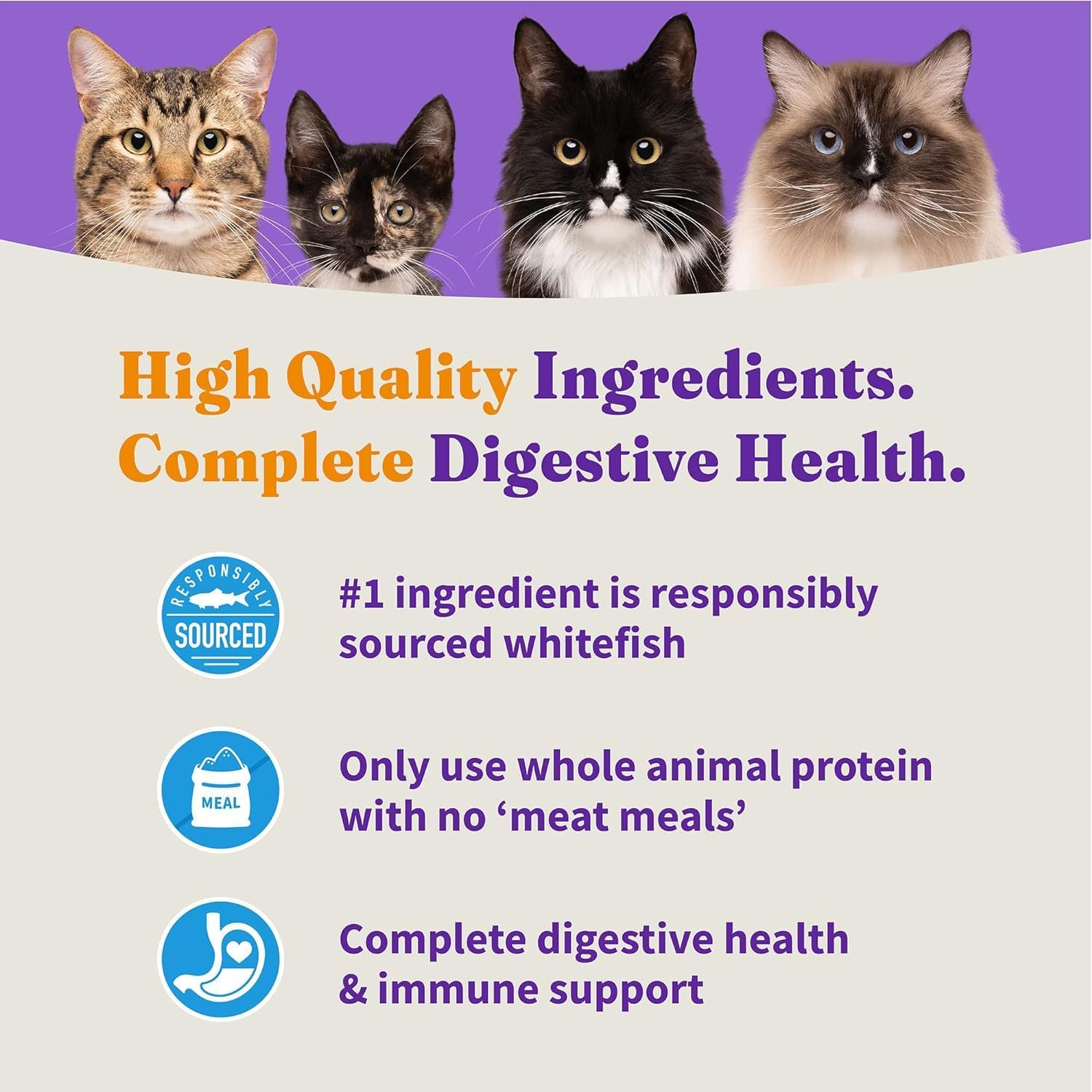 Halo Holistic Dry Cat Food for Sensitive Stomach, Wild-Caught Whitefish Natural Adult Cat Kibble with Healthy Grains, Probiotics & Omega Fatty Acids for Skin and Coat Health, 6 lb Bag