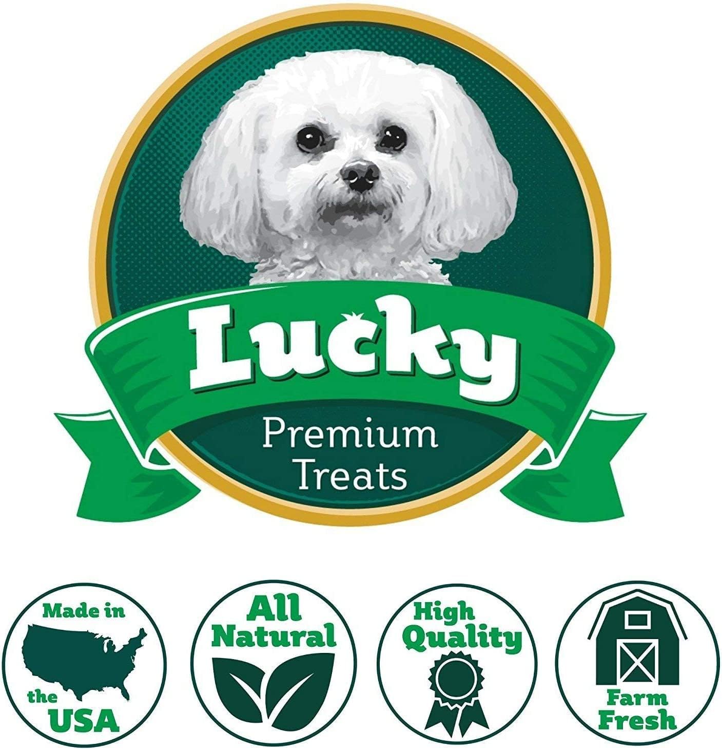 Chicken Jerky Straws Dog Treats – Chicken Sticks for Dogs Made and Sourced in The USA – Natural Single Ingredient Dehydrated Crunchy Treats for All Breeds – 28oz Bag