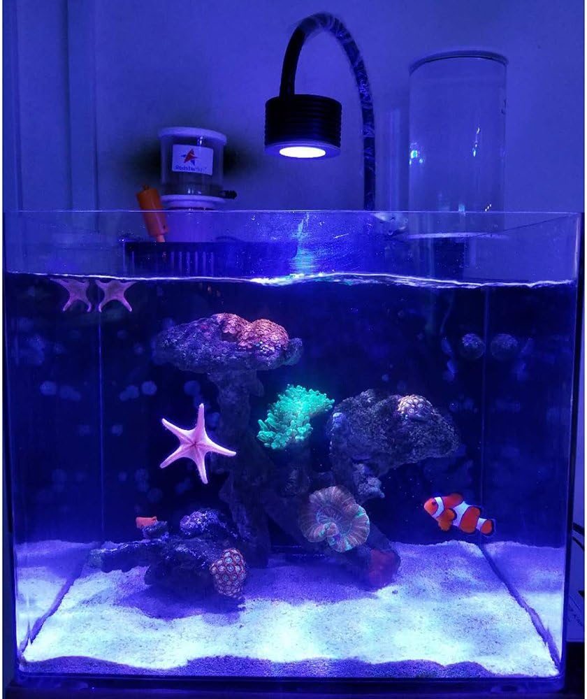 Lominie LED Aquarium Light, Planted Tank Light 4 Channels Remote Control 6500K Aquarium LED Lamp for Freshwater Fish Tank Refugium with Gooseneck (A20 Freshwater)