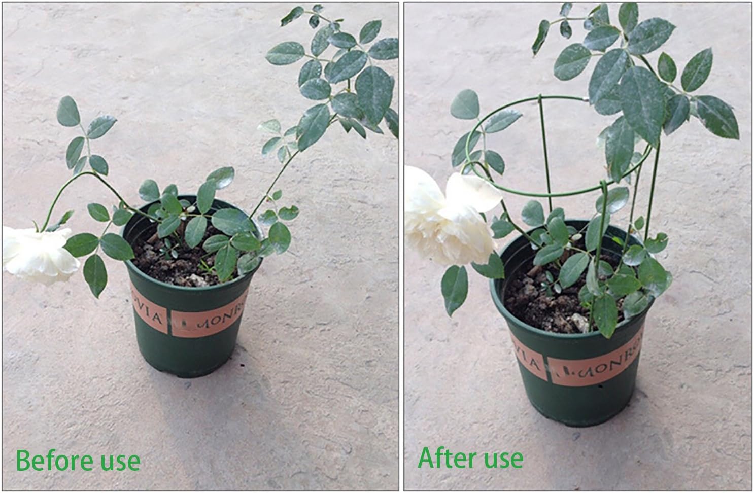 (Pack of 3) Garden Plant Support Rings, 5.5" Wide x 11" High, 3 Legs