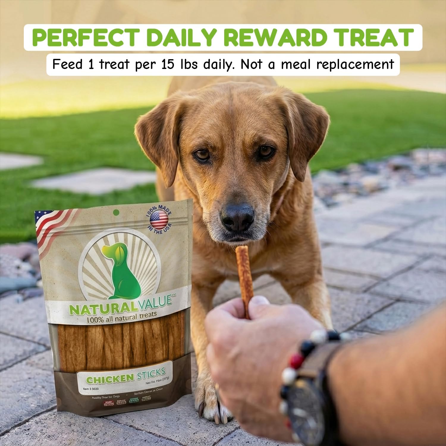 Loving Pets Natural Value Beef Sticks - Soft Jerky Dog Treats for Large & Small Breeds - Healthy Gluten, Wheat, Soy & Grain Free Pet Treats for Dogs