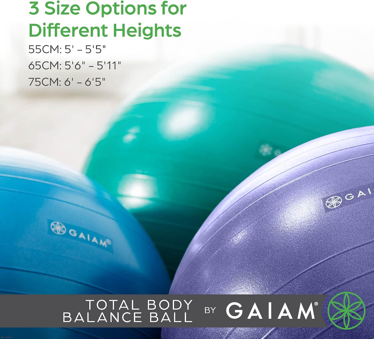 Gaiam Balance Ball Kit, Anti-Burst Stability Ball with Pump | 55cm Anti-Burst Ball | Textured Grip Surface | Air Pump Included | Core & Stability Training | Home Use