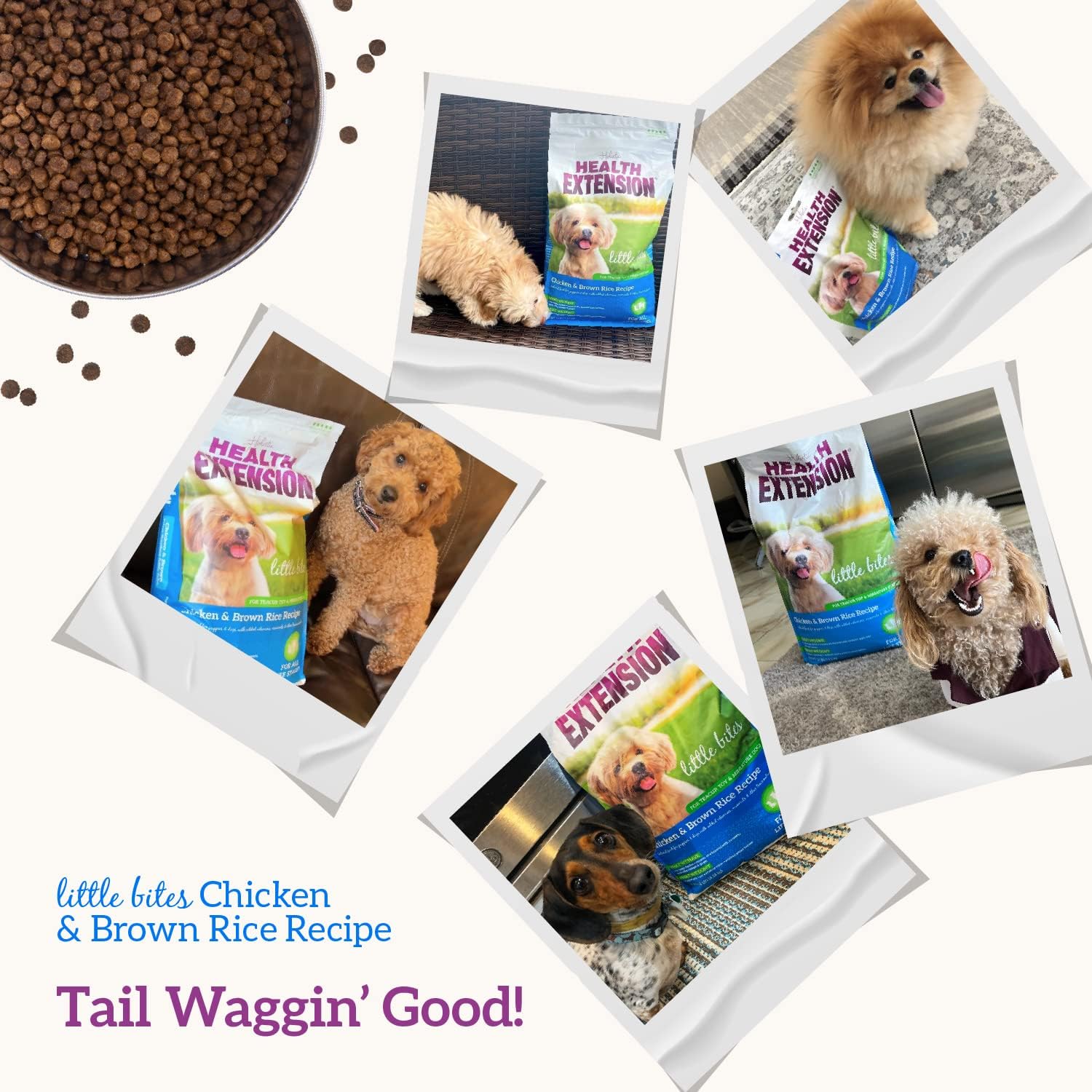 Health Extension Little Bites LITE Dry Dog Food, Chicken & Brown Rice for Toy and Small Breeds, Supports Healthy Weight, with Probiotics & Superfoods for Digestion & Coat Health, 4 lb Bag