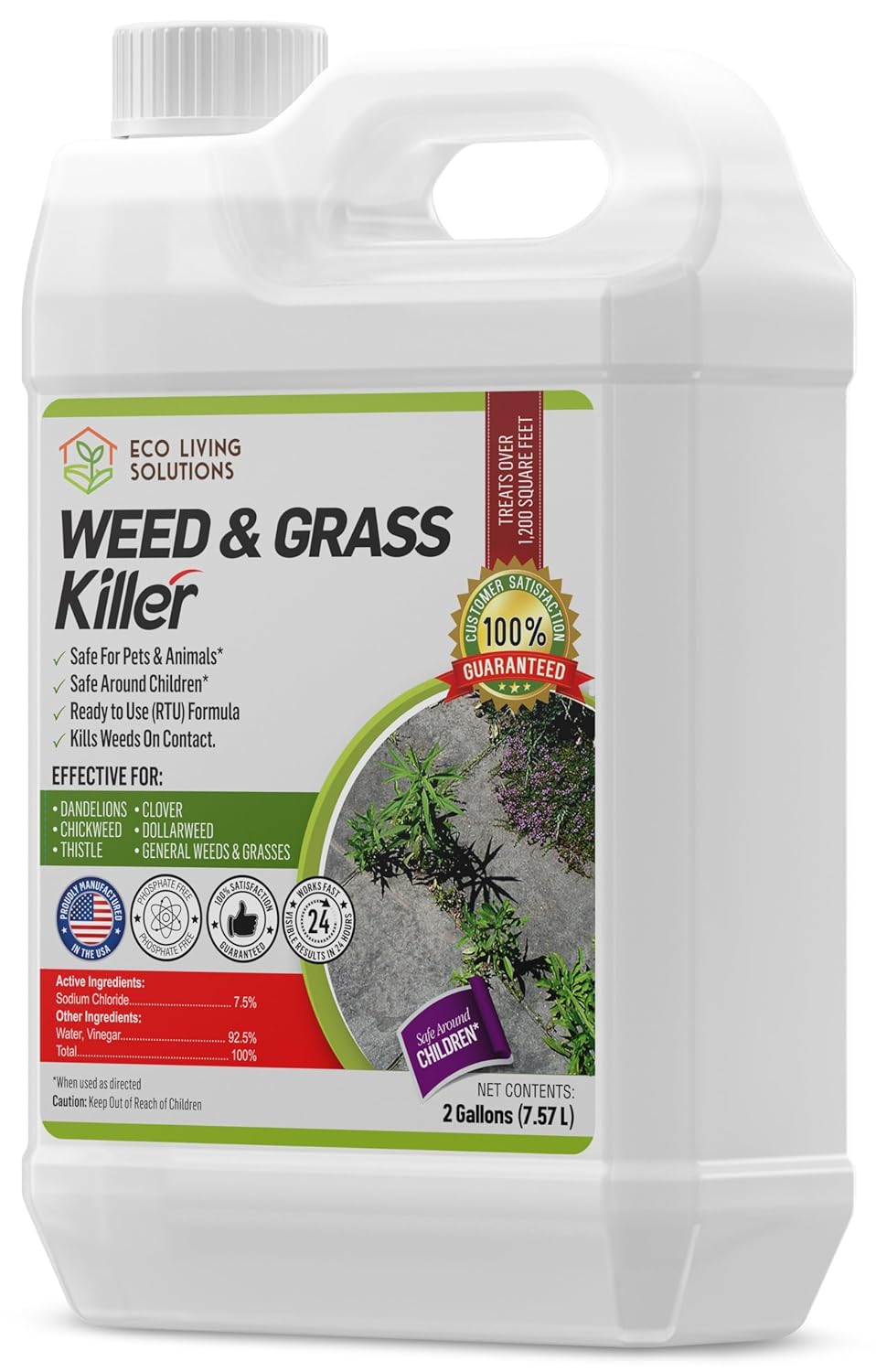 ECO Garden PRO - Organic Vinegar Weed Killer | Kid/Pet Safe | Clover Moss, Green Grass & Poison Ivy Killer for Lawns | Spray Ready Glyphosate Free Herbicide (1 Gallon)