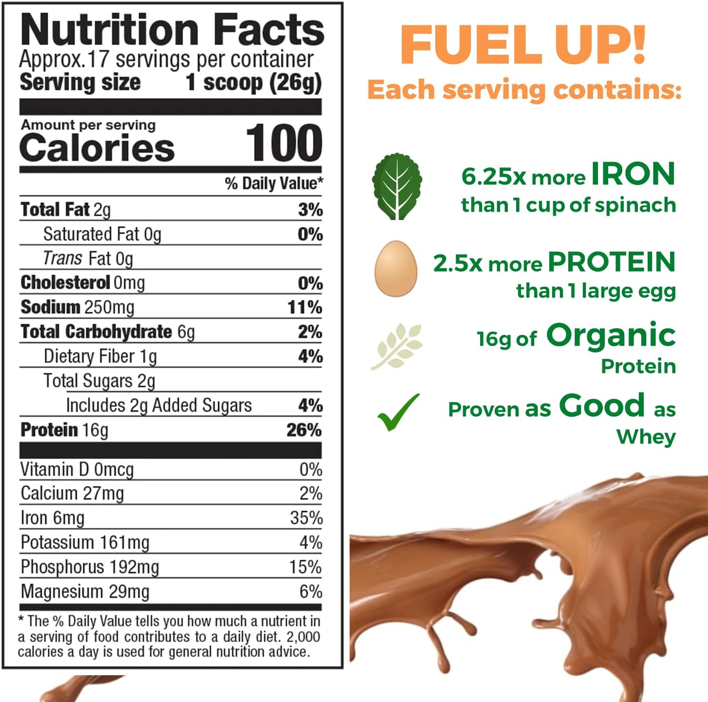 Raw Pea Protein Powder, Vegan Plant Based Protein, BCAA, Low-Carb, Low-Sugar, Chocolate Power, 1 Pound (Pack of 1)