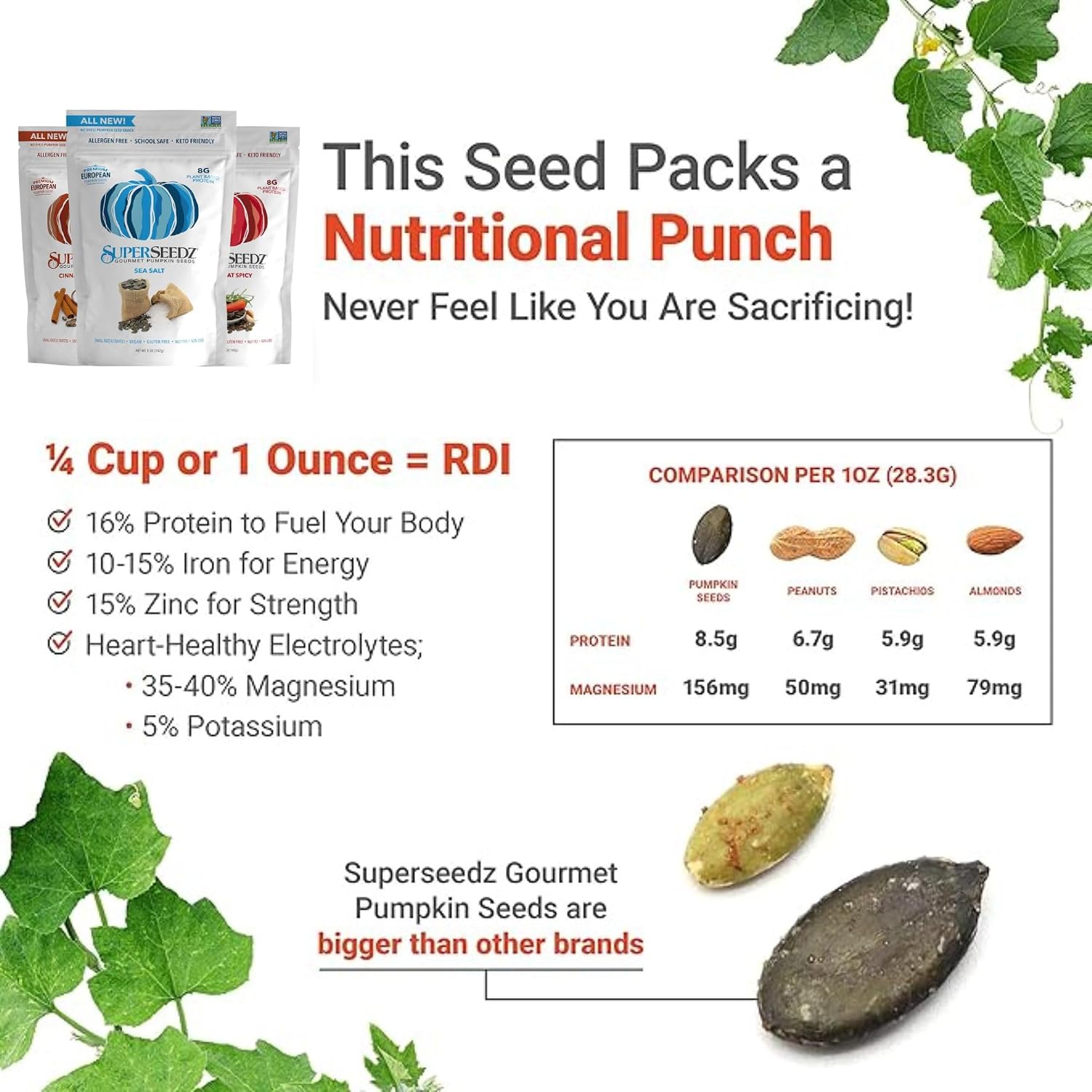SuperSeedz Dry Roasted Pumpkin Seeds with Sea Salt w/8g Protein (5oz Bag) | Nn-GMO, Gluten-Free, Keto Snacks – Nut-Free & School Friendly Organic Pumpkin Seeds – Large European No Shell Pepitas